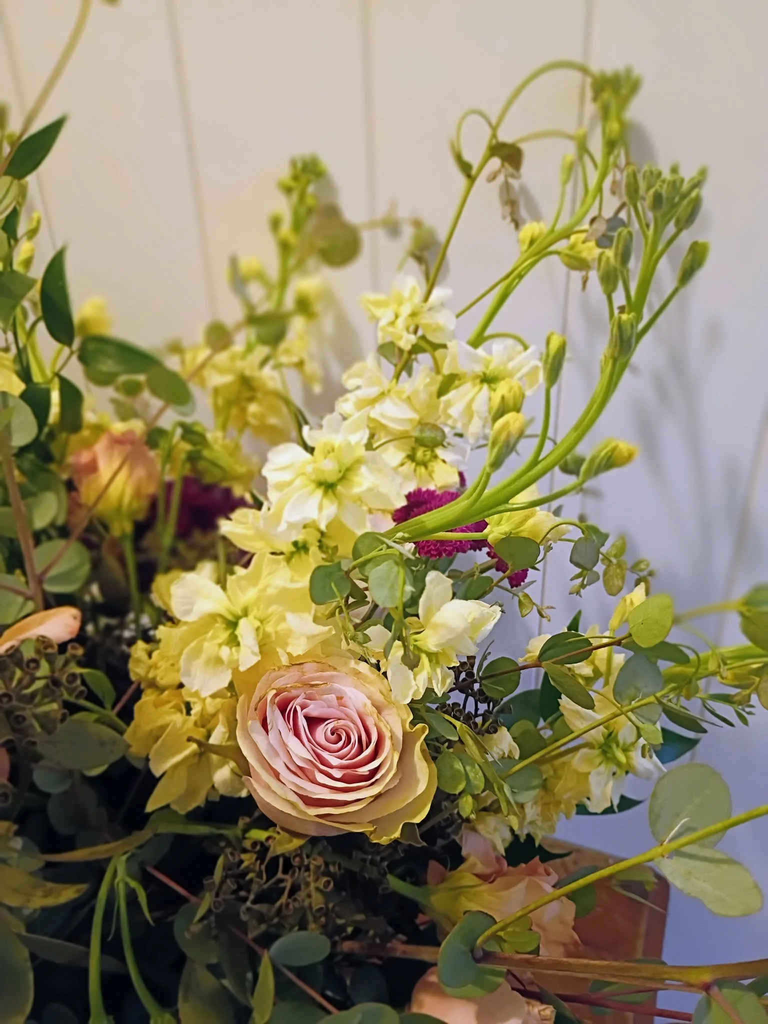 c987c3a7-5d71-49ba-b119-aa50149df1c2.jpg