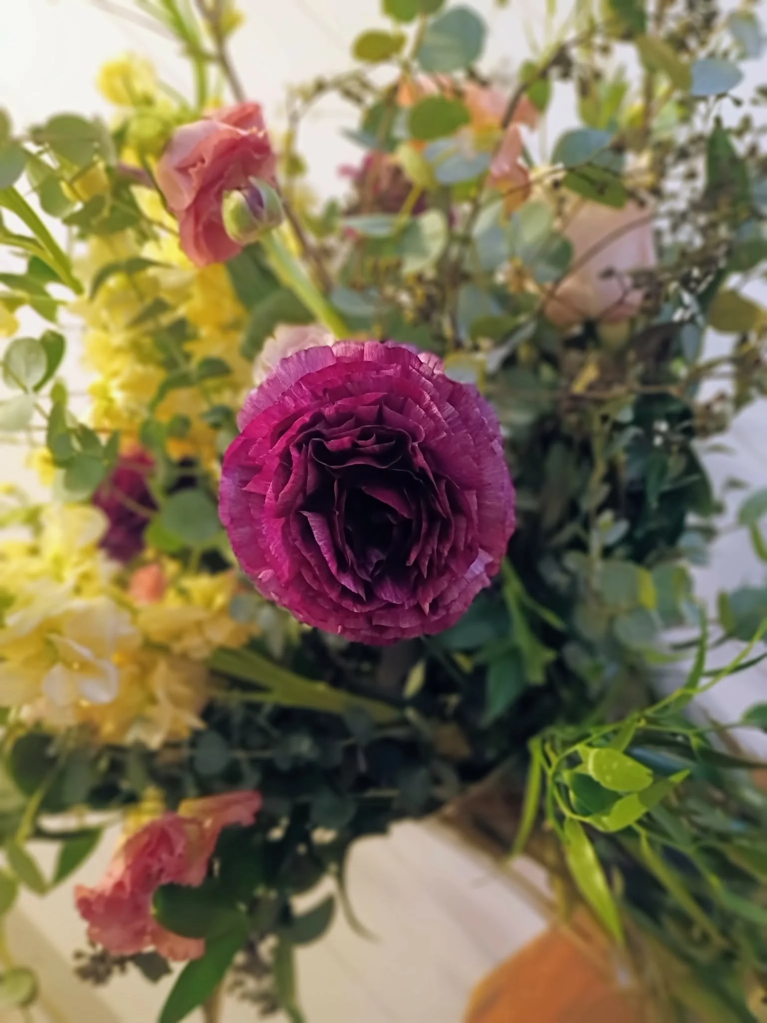 957c0c61-51a0-4e07-81b2-63accd4218a6.jpg