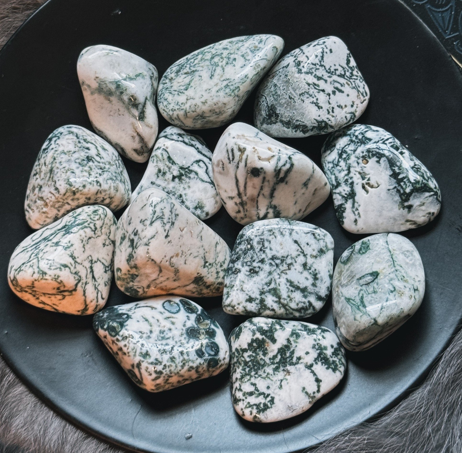 tumbled-tree-agate-lunar-haven-mystic-05.jpg