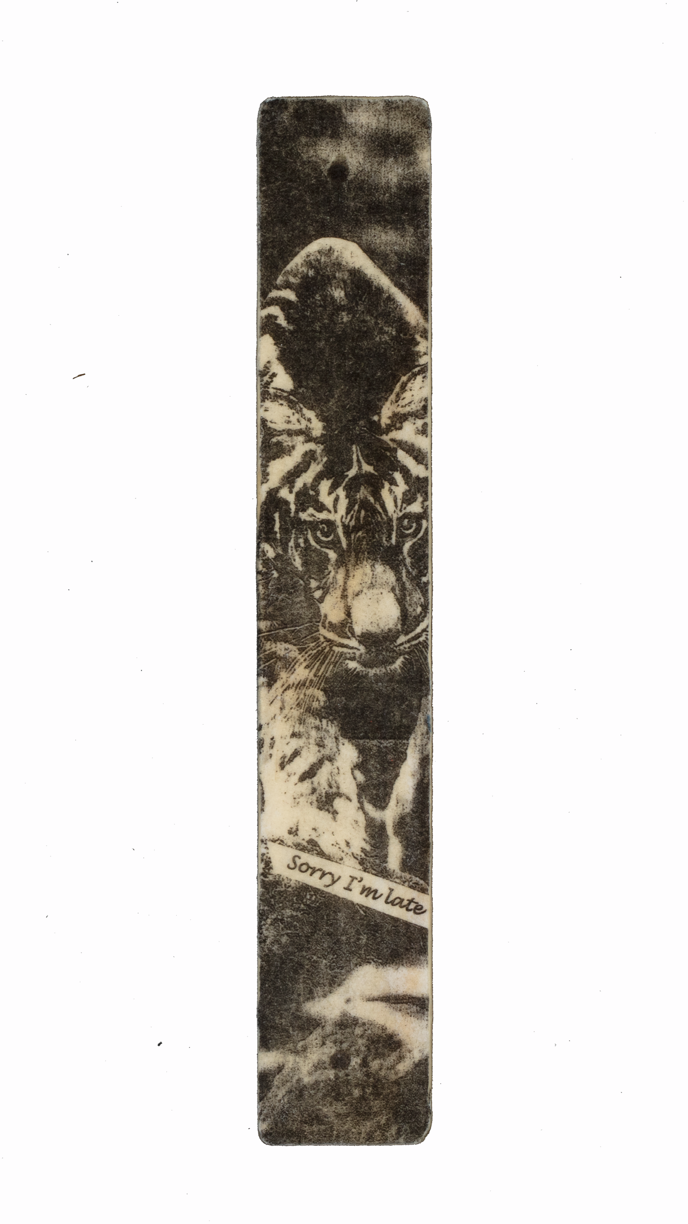 tiger-sorry.png