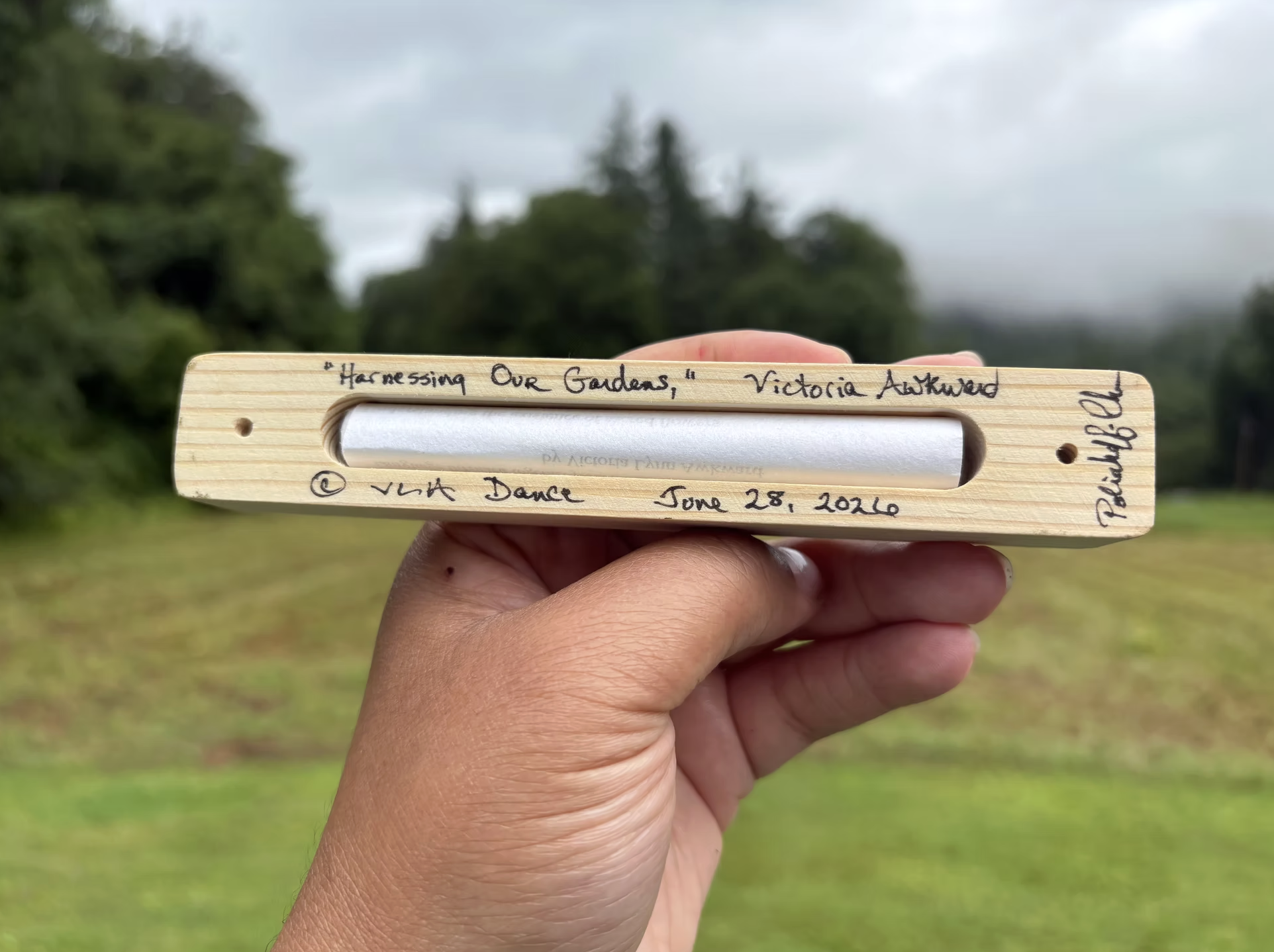 StoryStick2.png