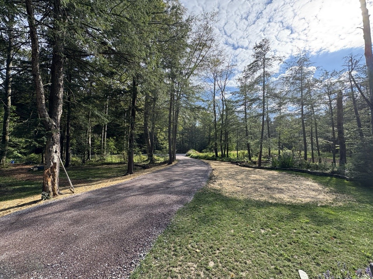 gravel driveway Large.jpeg