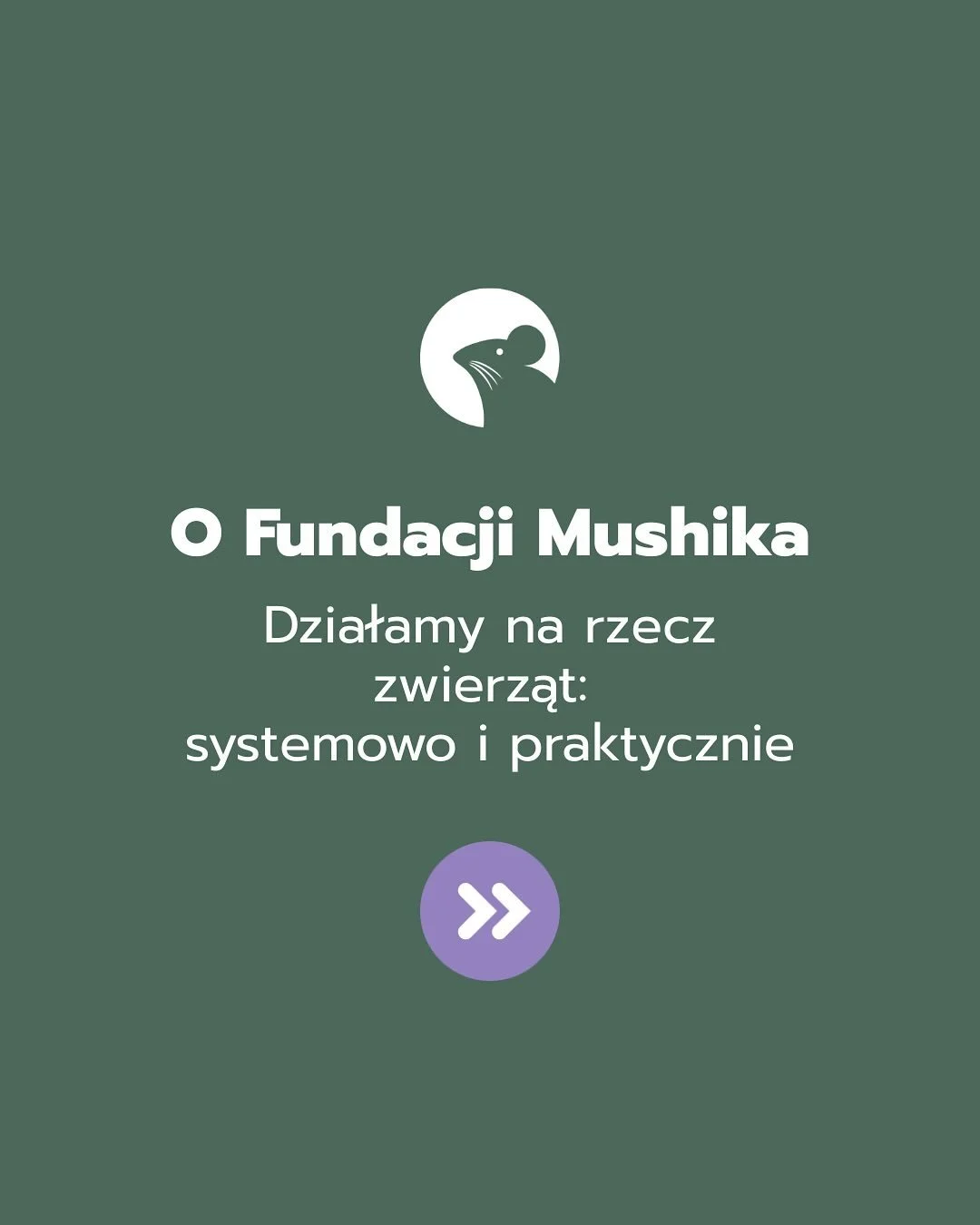 Działamy tam, gdzie inni często nie zaglądają -  w obszarach trudnych, pomijanych, wymagających odwagi i wiedzy. 

Pomagamy wszystkim zwierzętom: towarzyszącym, hodowlanym i wolno żyjącym. Szczeg&oacute;lnie tym, kt&oacute;re są niewidoczne i pozbawi