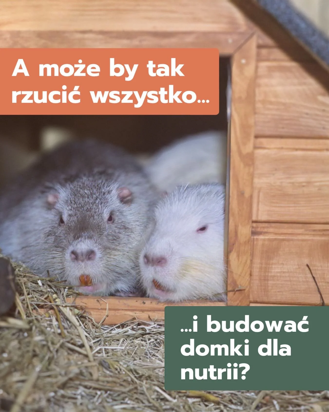 5 grudnia świętujemy Międzynarodowy Dzień Wolontariusza 🎉

To dzień os&oacute;b, kt&oacute;re potrafią zrobić coś niezwykłego: zamienić sw&oacute;j czas w czyjeś bezpieczeństwo, spok&oacute;j i lepsze życie.

Bywa wymagająco &ndash; czasem z błotem 