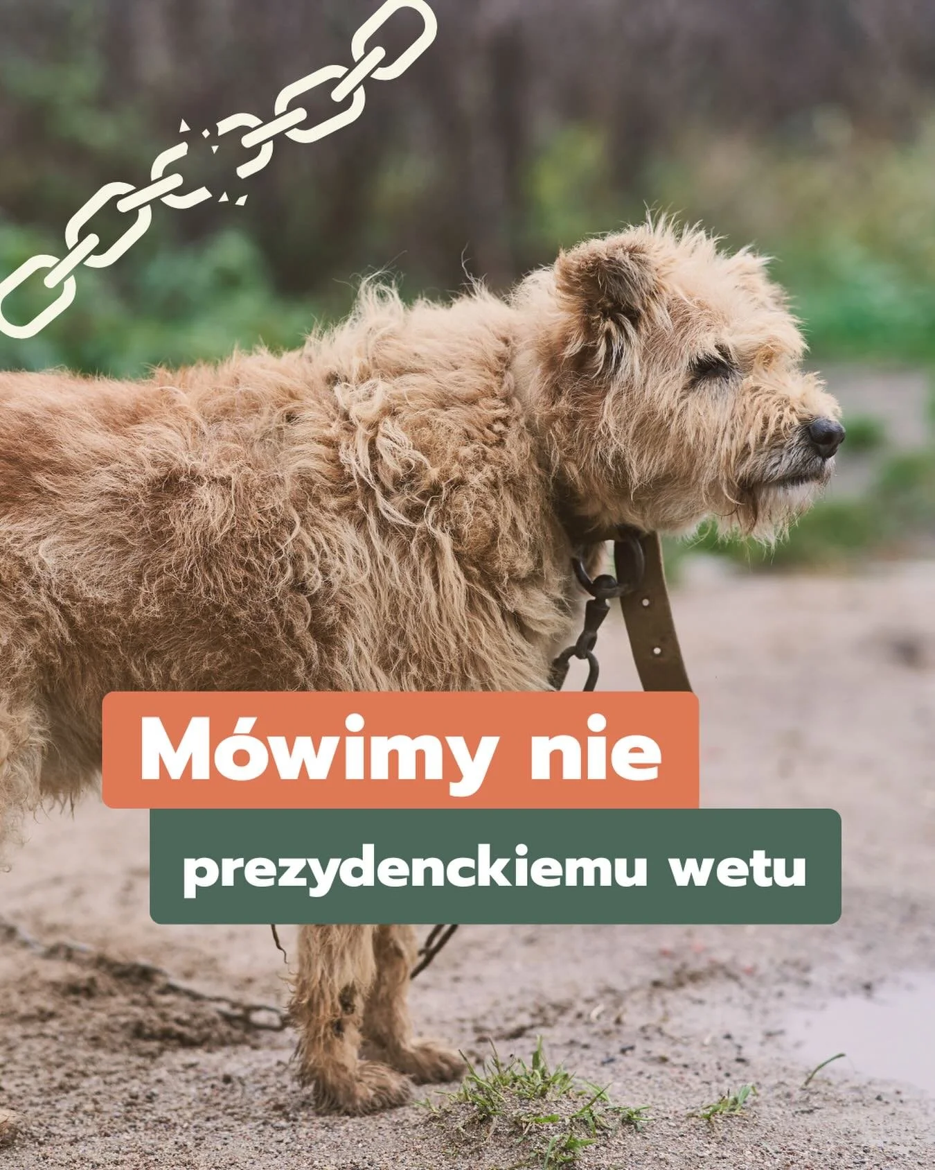 🐾 Weto prezydenckie wobec ustawy łańcuchowej &ndash; ważne dni przed nami 

Fundacja Mushika podpisała apel o odrzucenie prezydenckiego weta wobec tzw. ustawy łańcuchowej. Zrobiłyśmy to, bo zależy nam na rozwiązaniach, kt&oacute;re realnie poprawiaj