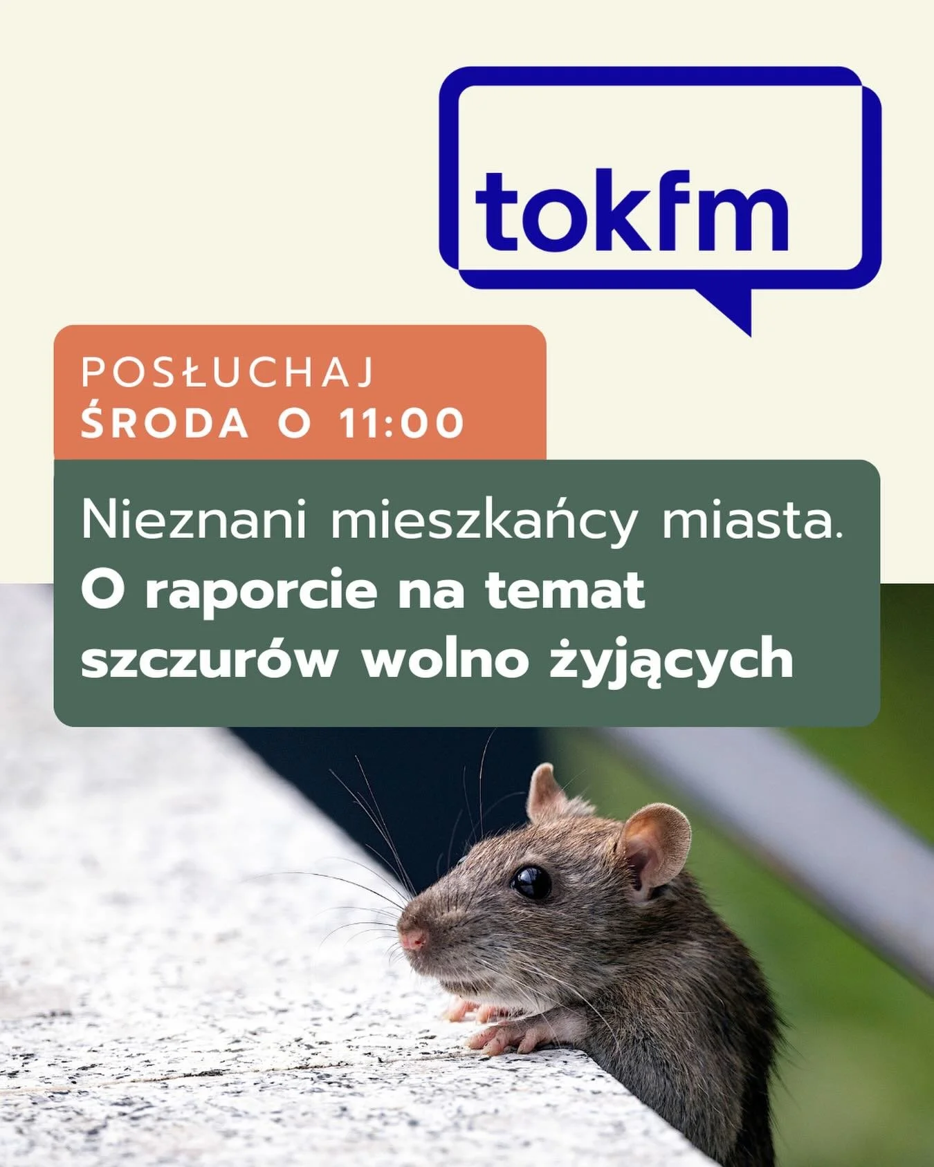 🐀 Szczury w radiu? Tak &ndash; i to w najlepszym towarzystwie. 

Już w środę 17 grudnia o godz. 11:00 w audycji OFF Czarek na antenie Radio TOK FM porozmawiamy o raporcie &bdquo;Nieznani mieszkańcy miasta. Raport o szczurach wolno żyjących&rdquo;. 

