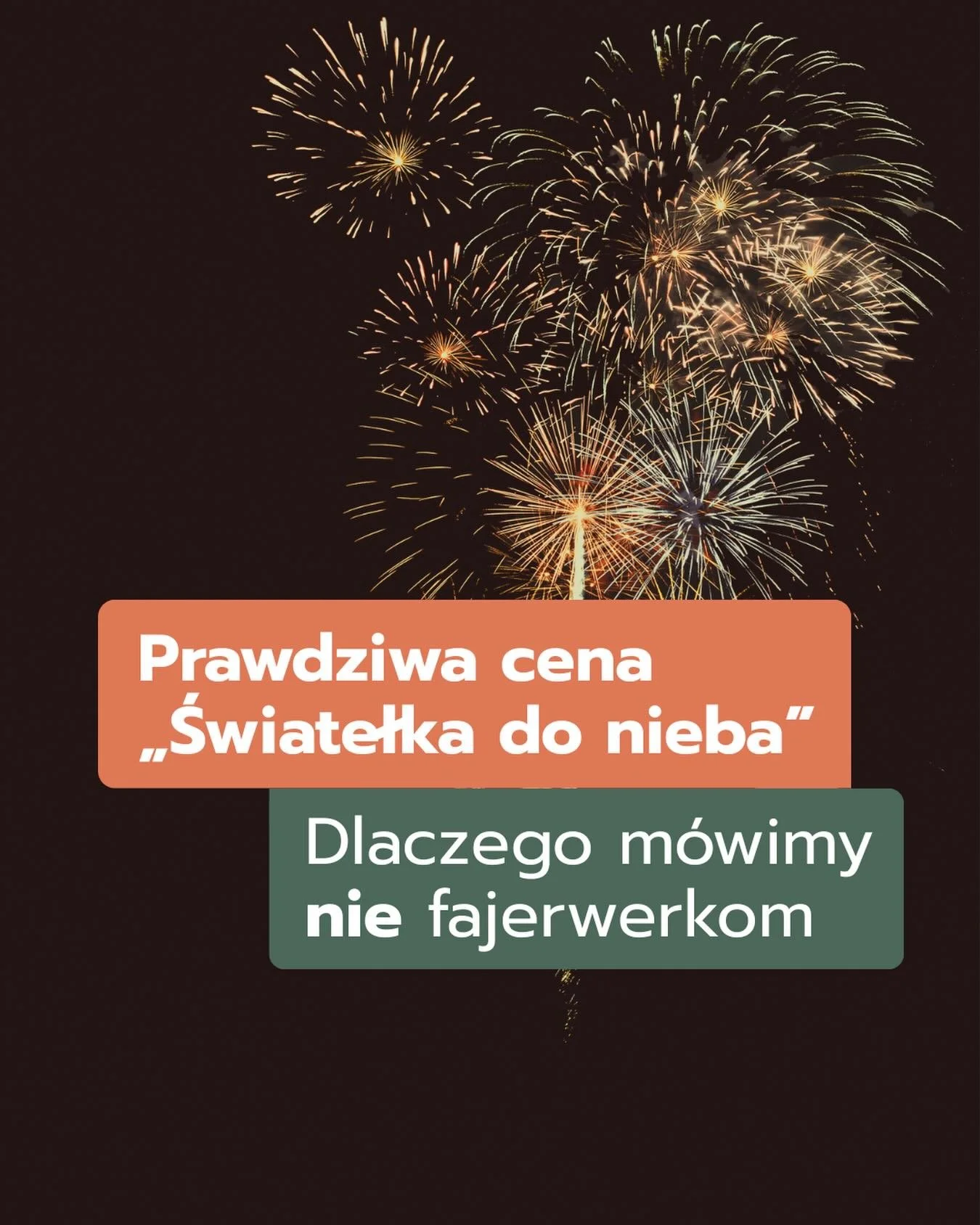 Pokazy pirotechniczne trwają kilka chwil. 
Ale ich skutki dla zwierząt, ludzi i środowiska odczuwane są znacznie dłużej. 

Dla wielu zwierząt huk oznacza panikę, ucieczki, urazy i śmierć. 
Dla środowiska &ndash; zanieczyszczenie powietrza i kolejne o