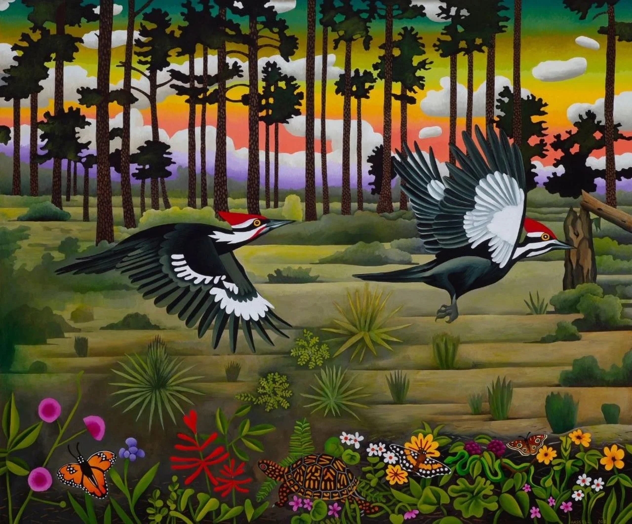Billy-Hassell_Pileated-Woodpeckers-and-Longleaf-Pines_.jpg