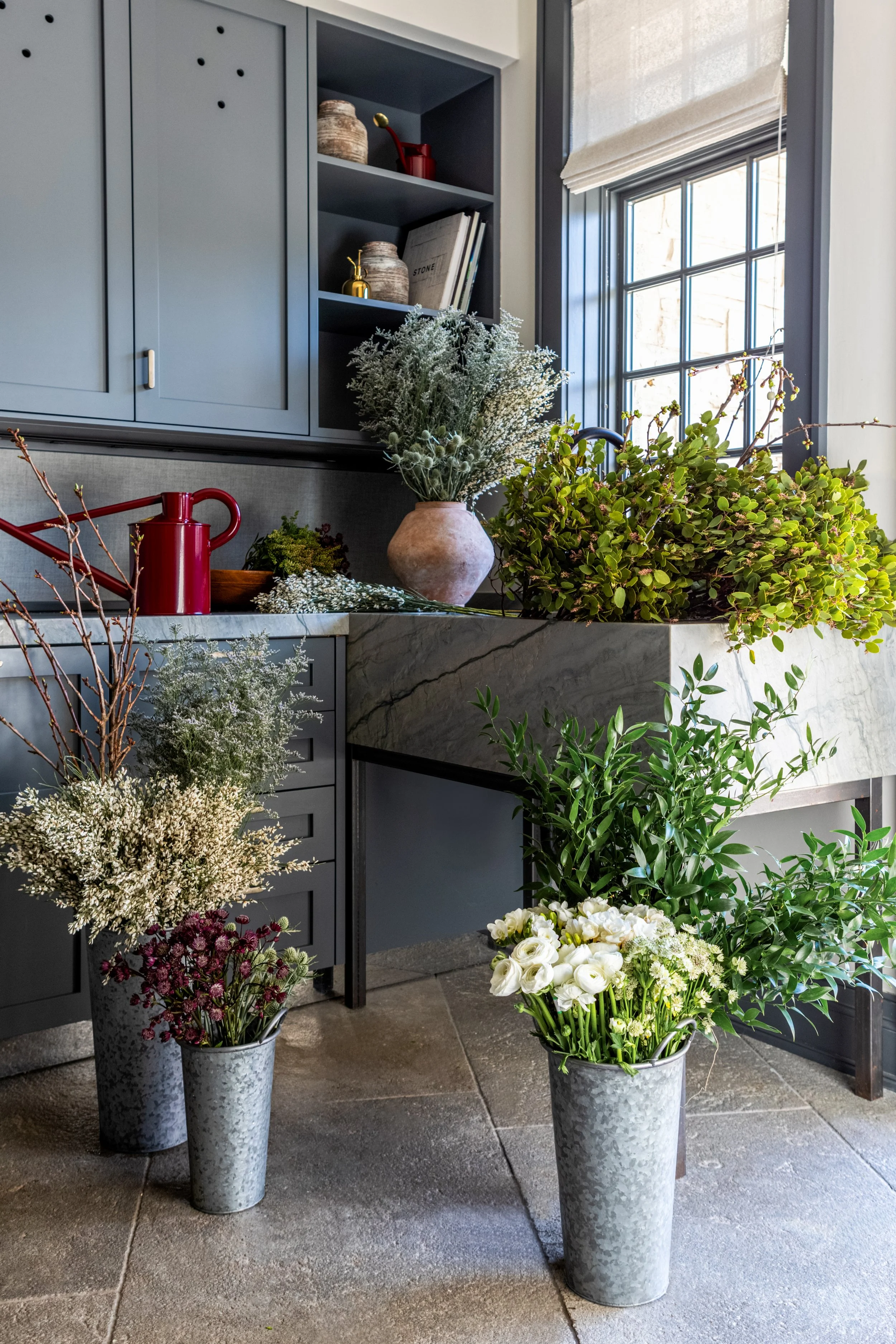 Plumtree 22024-01.jpg