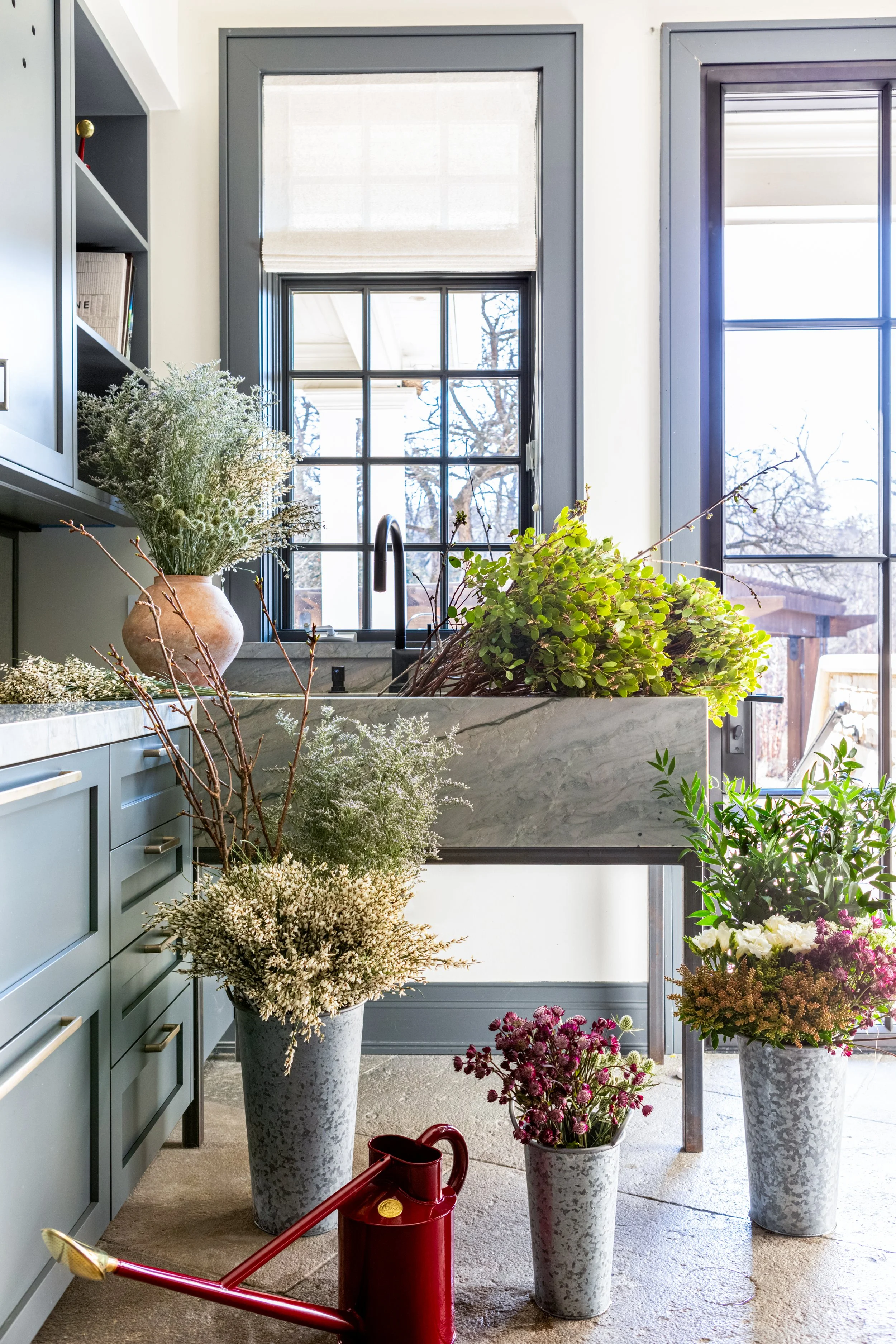 Plumtree 22024-04.jpg