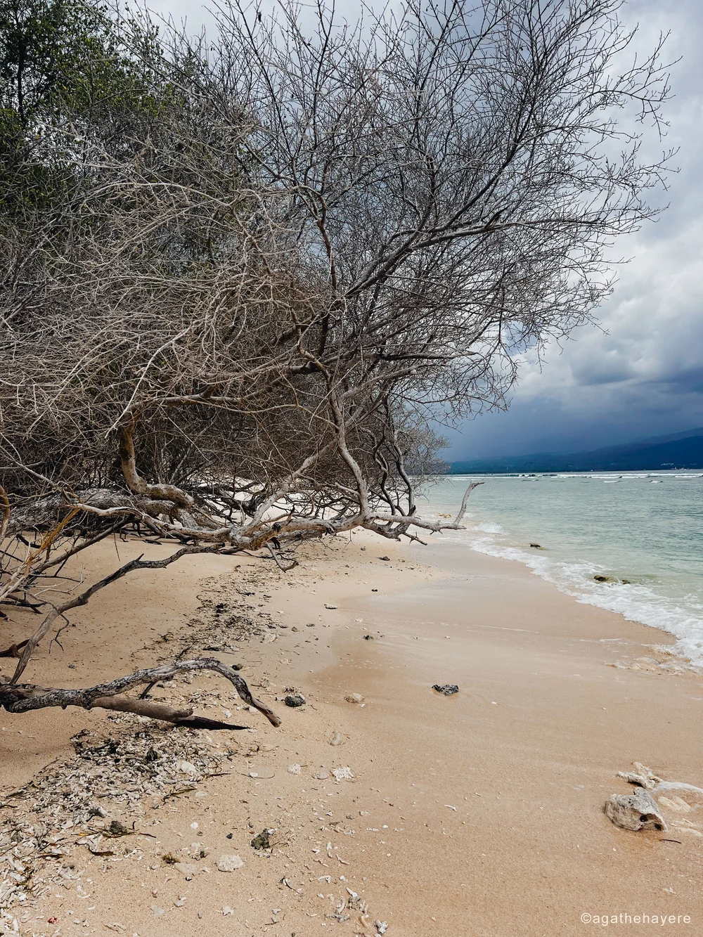 Plage Gili Meno Indonésie Lombok