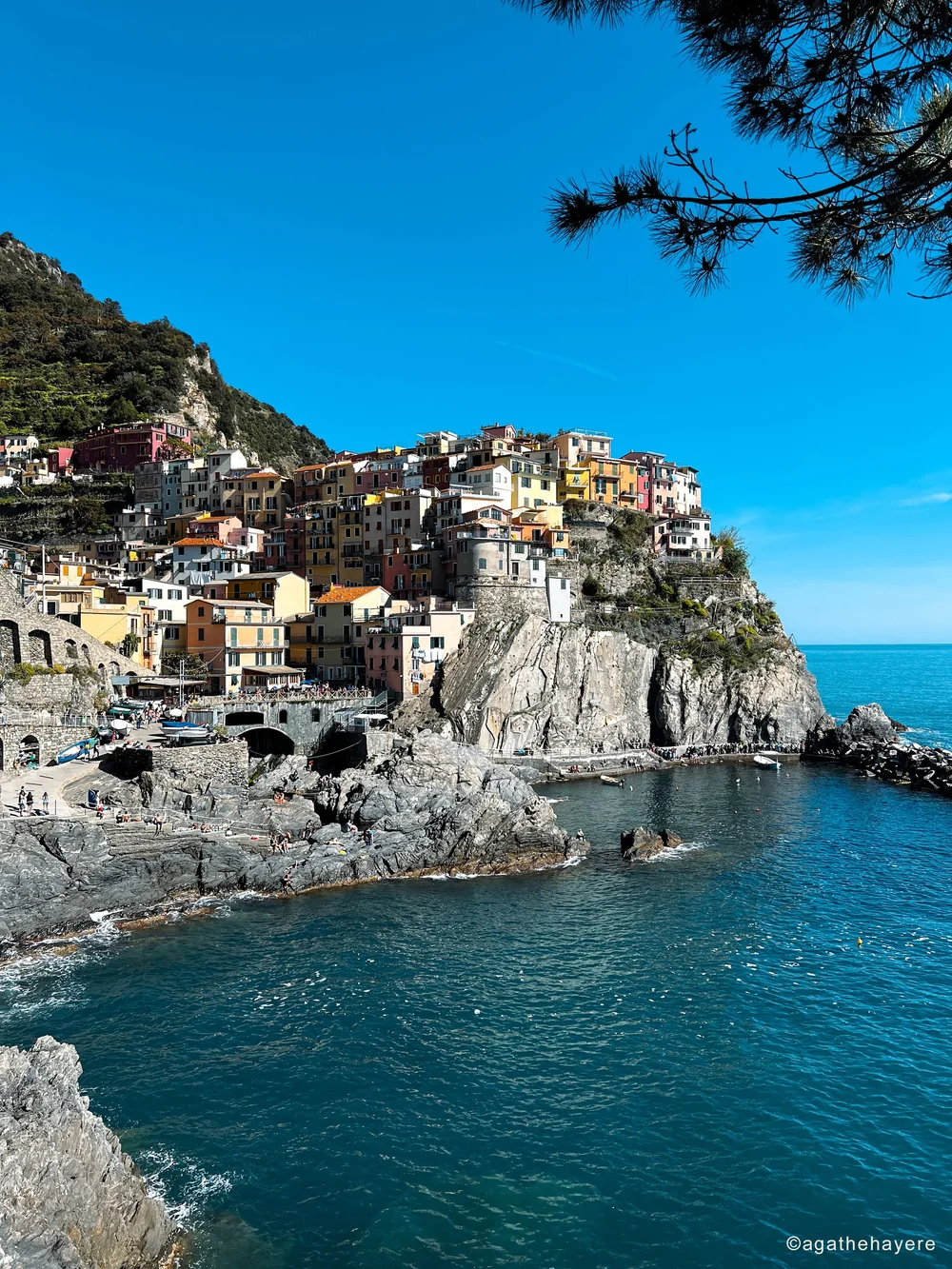Cinque Terre Manarola