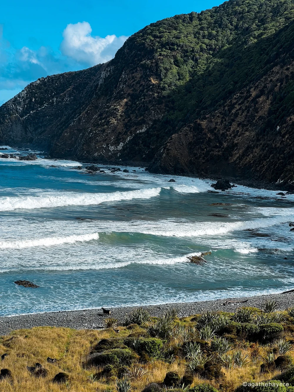 Explorer les Catlins, région sauvage du sud-est