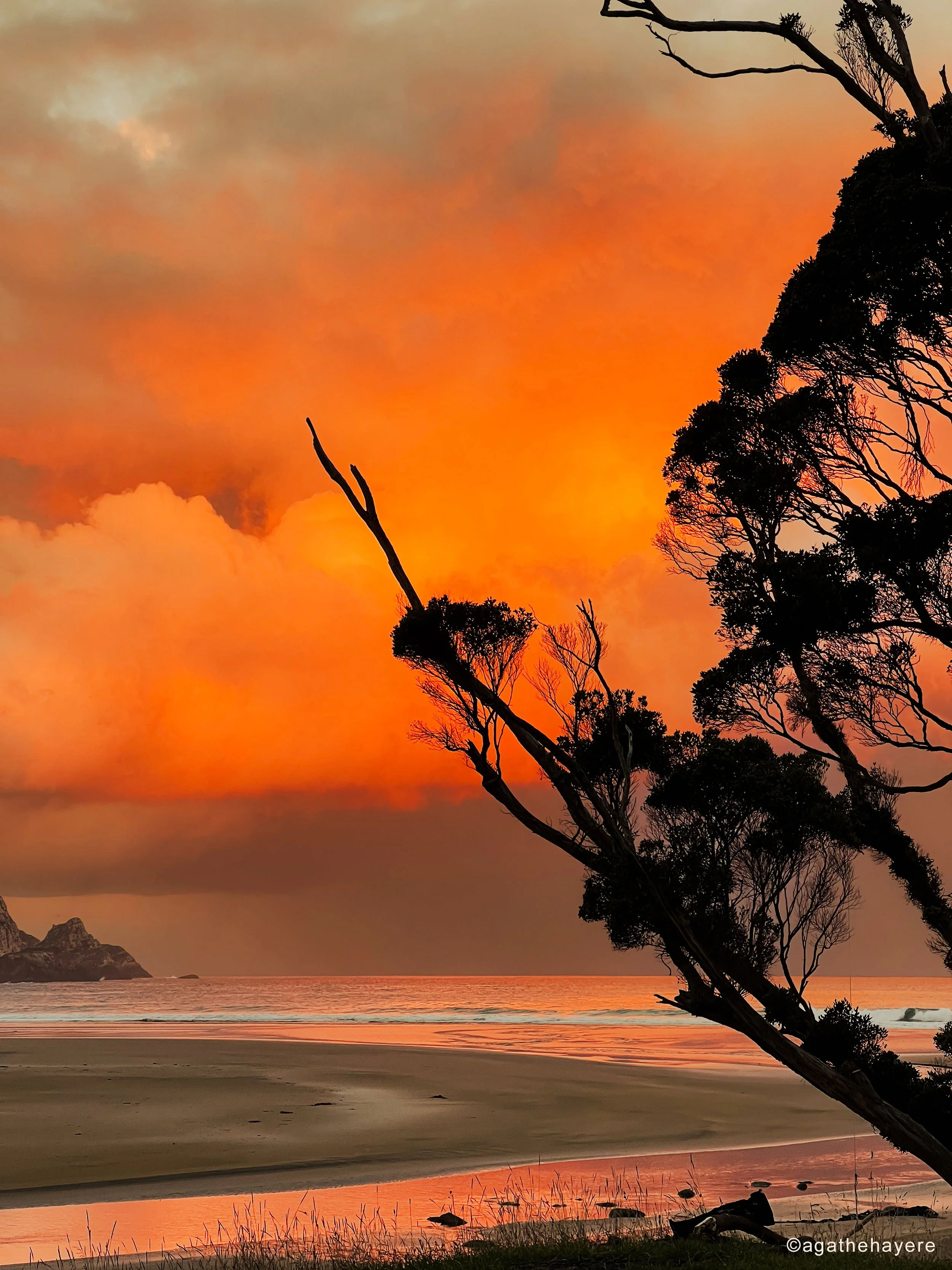 Purakaunui Bay