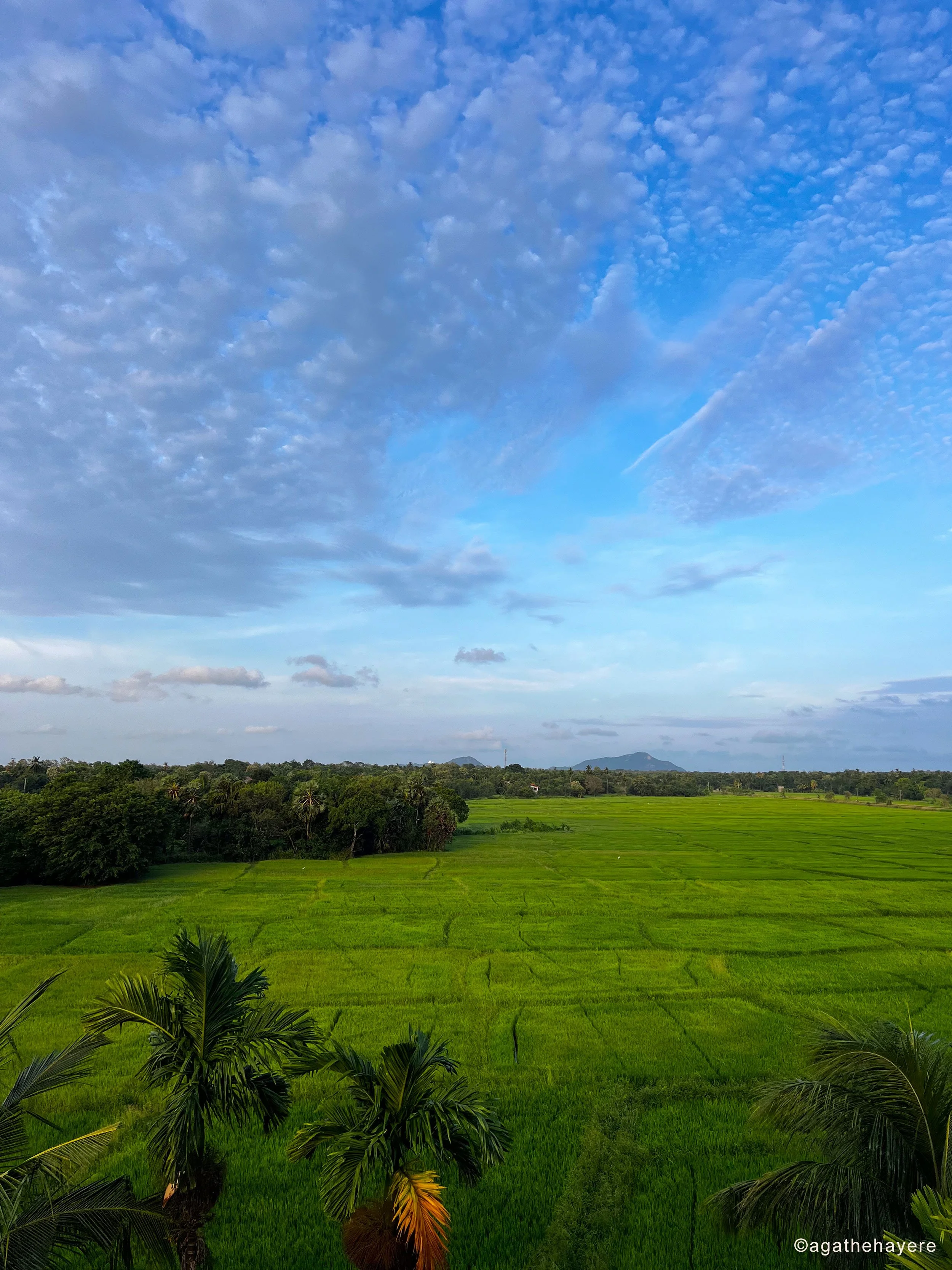 Anuradhapura2.jpg