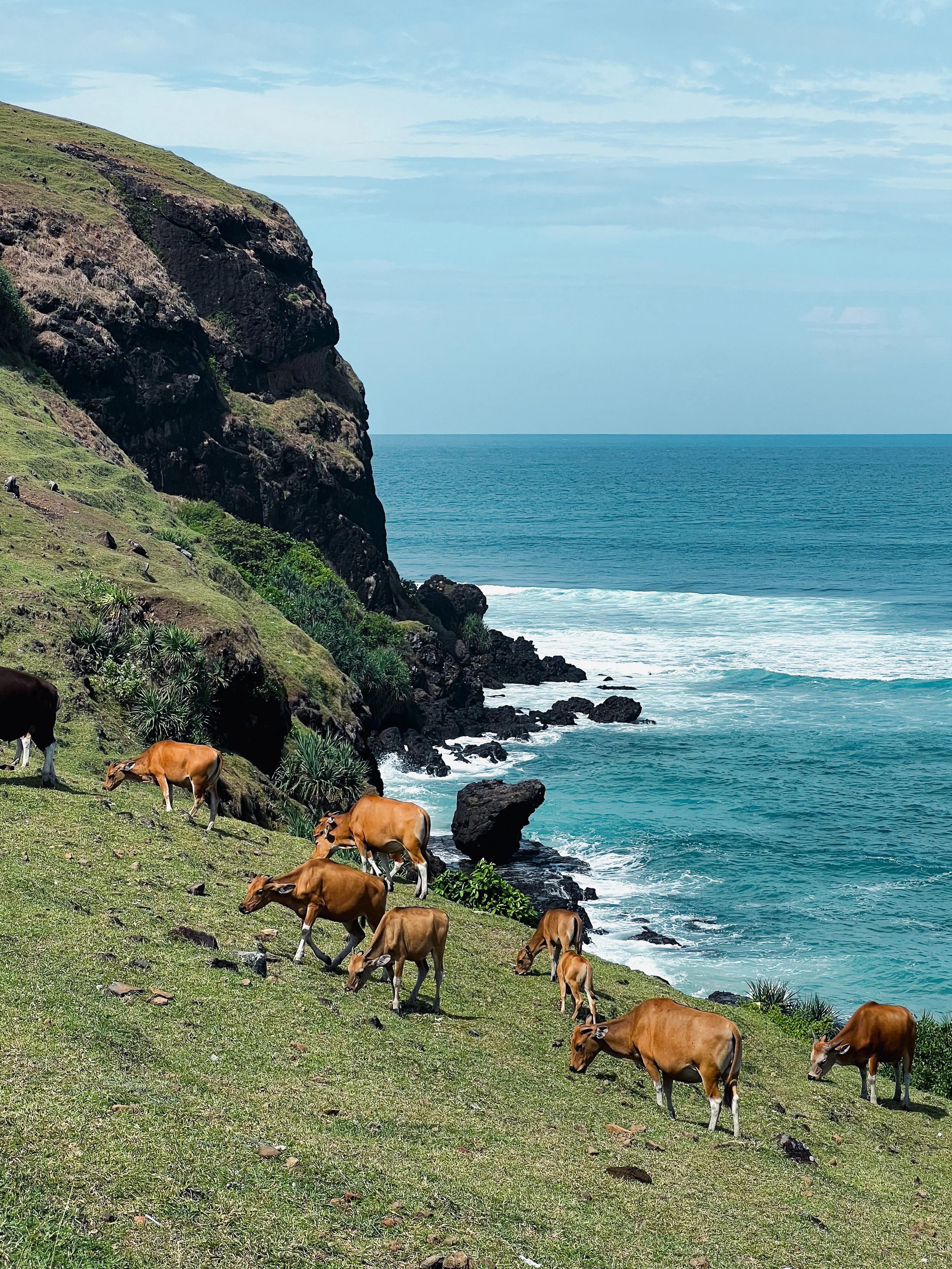 Merese Hill-Lombok-03.jpg