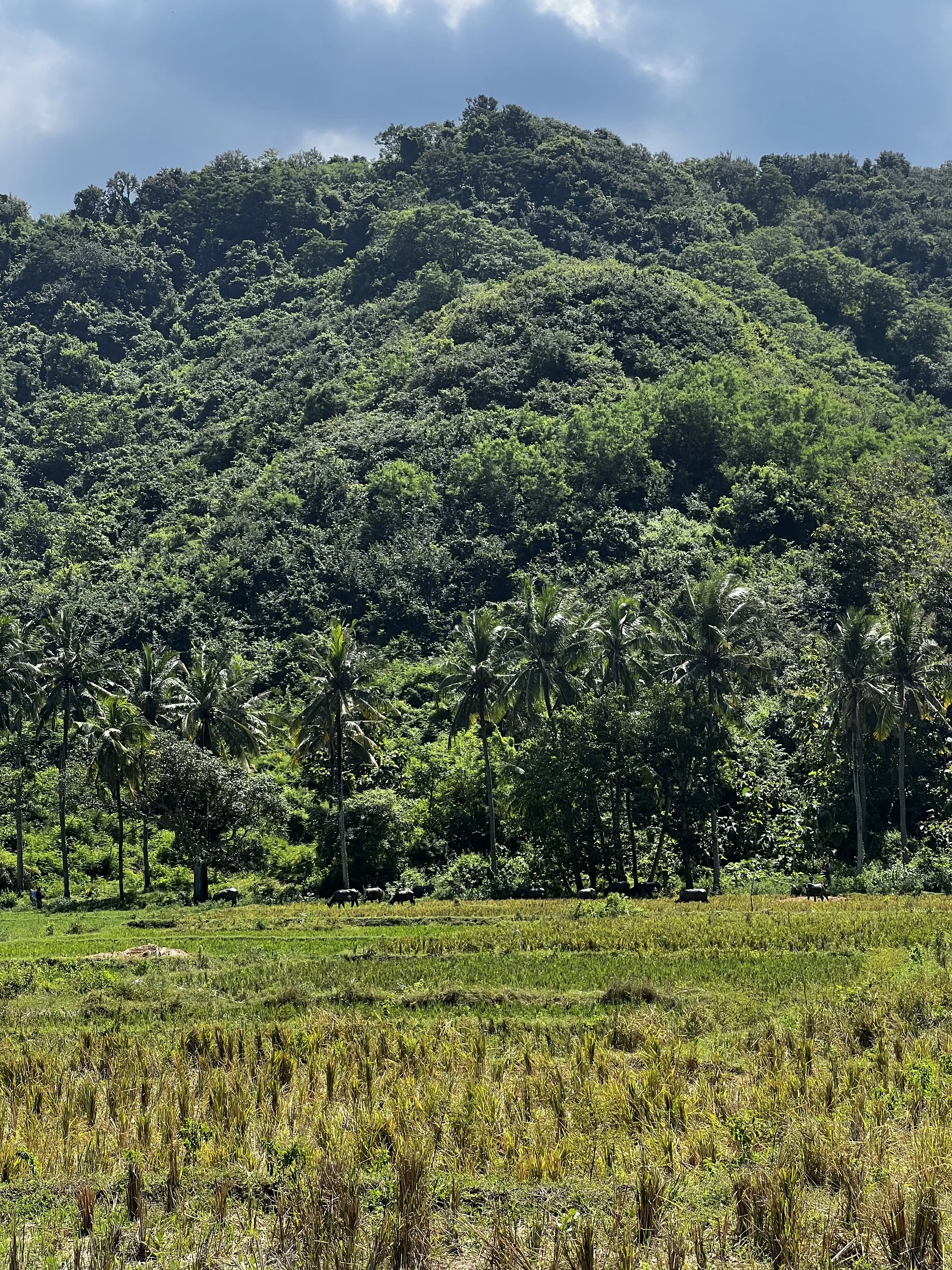 Mawi Beach-lombok-02.jpeg