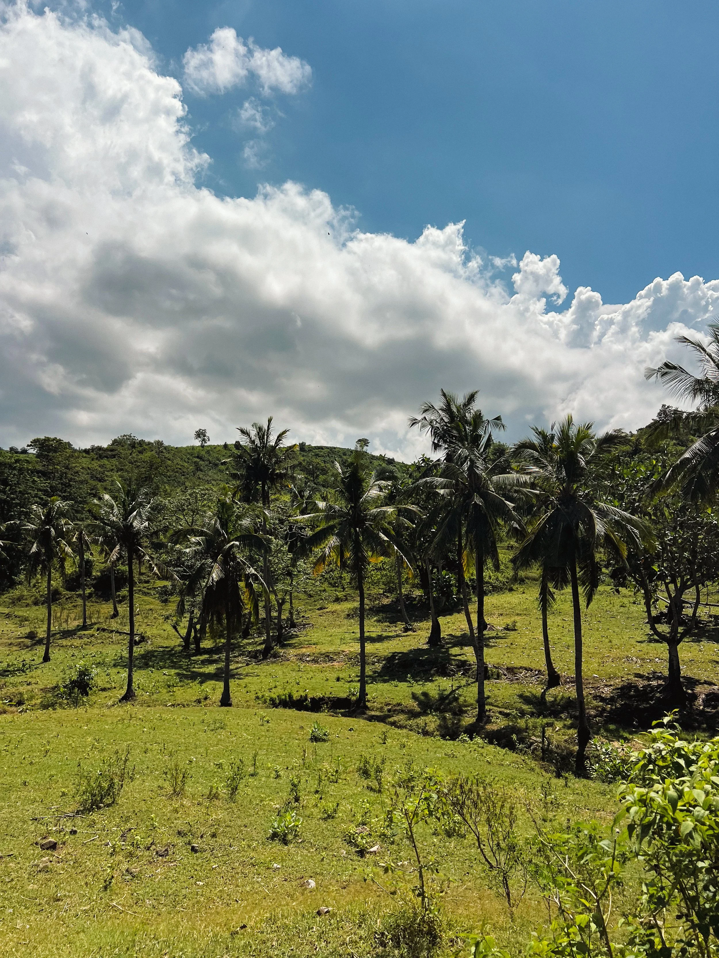 Mawi Beach-lombok-04.jpg