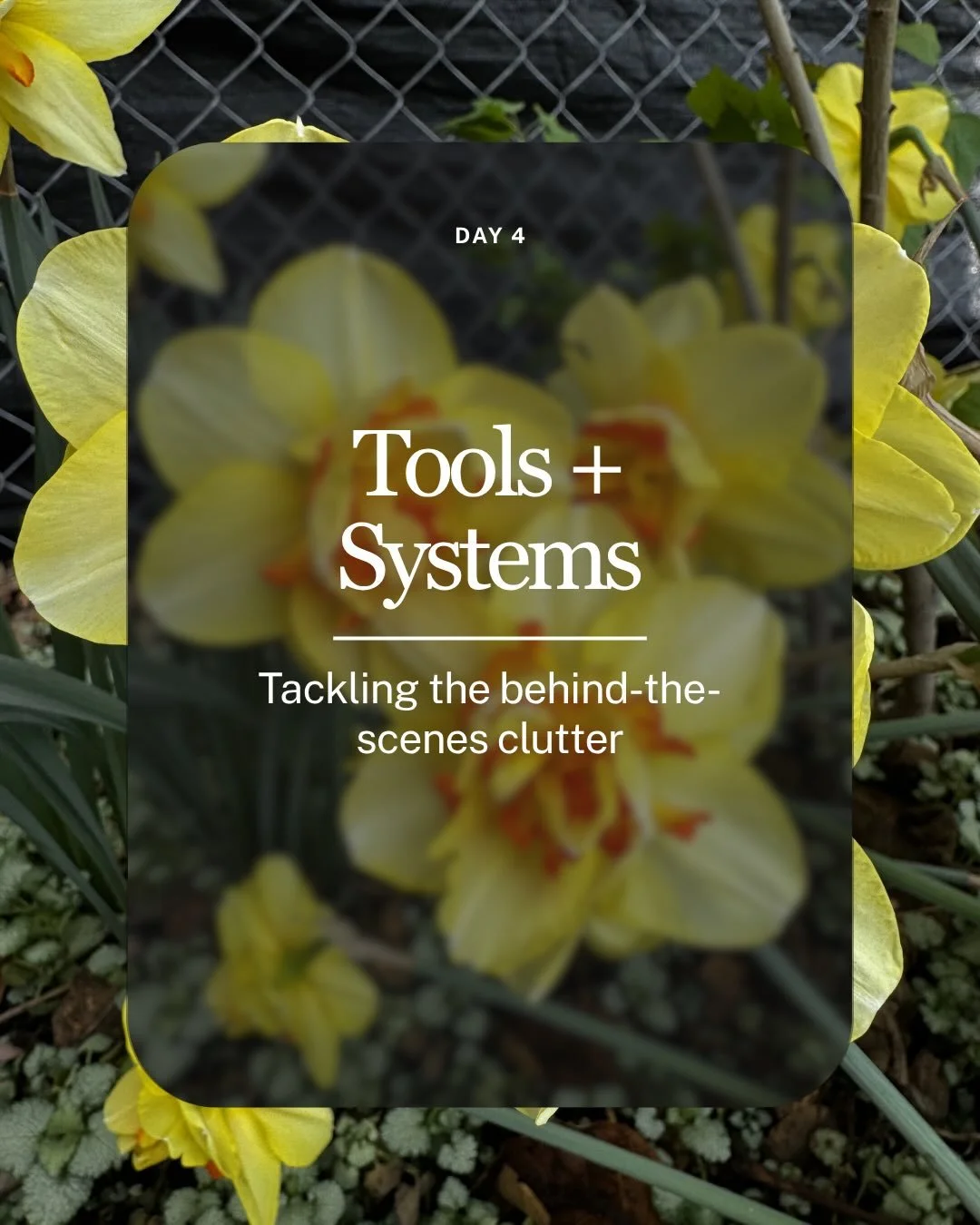 Day 4 of your Business Spring Clean 🐰 

Today, we&rsquo;re stepping behind the scenes into the spaces that support everything you do.

When these areas feel cluttered, outdated, or disorganized&hellip; you feel it.

In your time. In your energy. In 