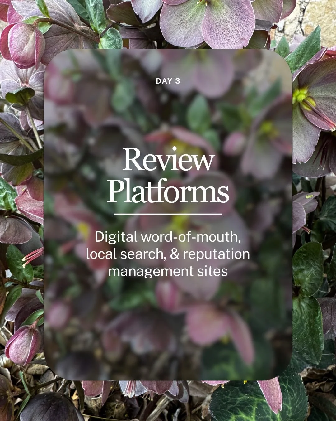 You might not always think of these places&hellip;
But your customers do.

Welcome to Day 3 of your Business Spring Clean 🌿

Today, we&rsquo;re tending to your online reputation. The spaces that speak for your business before you ever do.

Your revi