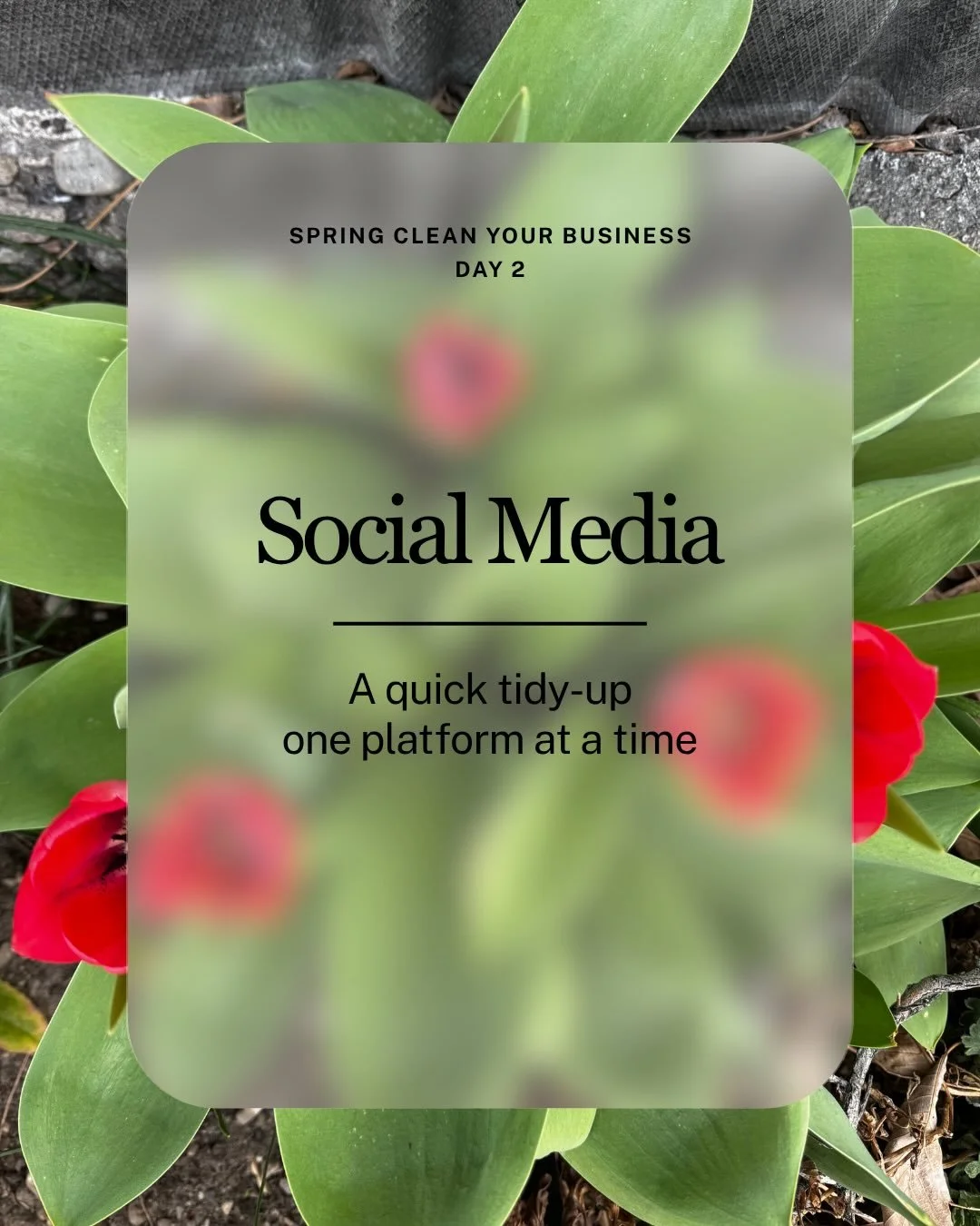 When someone hears about your business, where do they usually go next to check you out? 😅

Social media!

Welcome to Day 2 of your Business Spring Clean 

Today, we&rsquo;re focusing on socials. 

This is where people go after that first touch: 👉 a