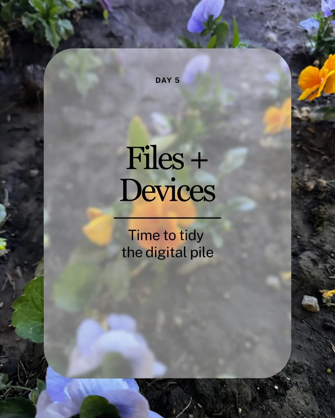 Congratulations, you made it to Day 5&nbsp;of the Business Spring Clean! 🌷

For the final day, we&rsquo;re keeping it simple but powerful by cleaning up your files + devices.&nbsp;

The digital pile.

This kind of mess doesn&rsquo;t just live on you