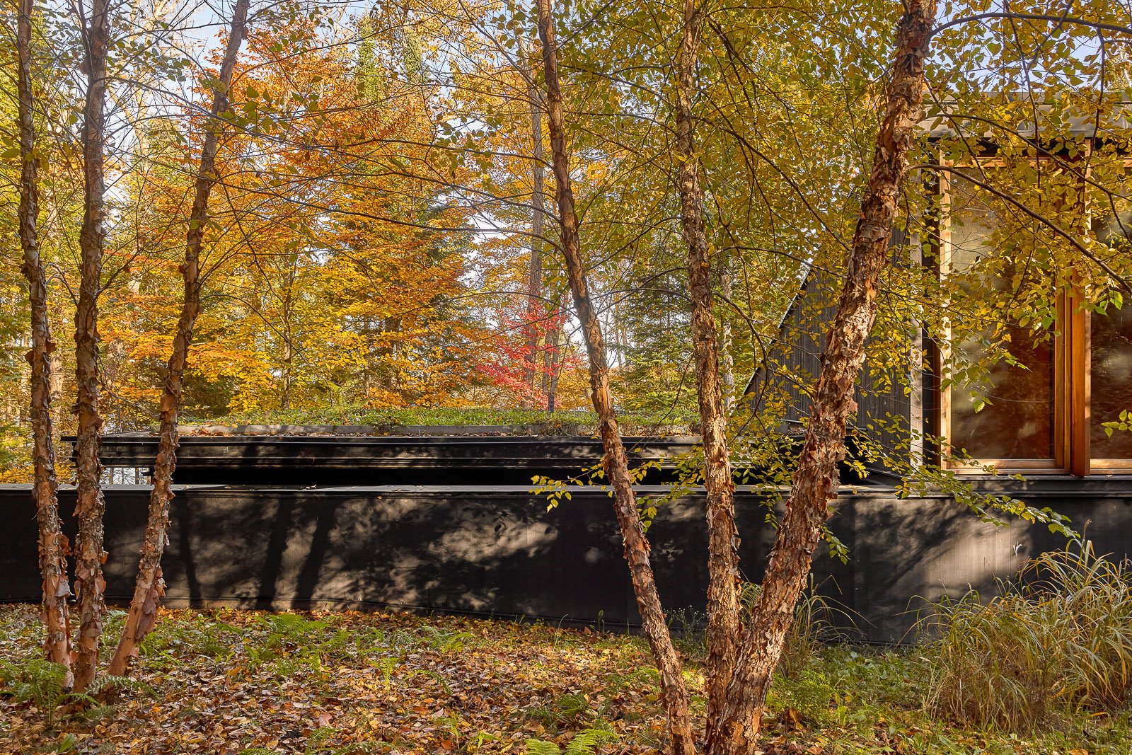 Scott Norsworthy Architectural Photography / Residential