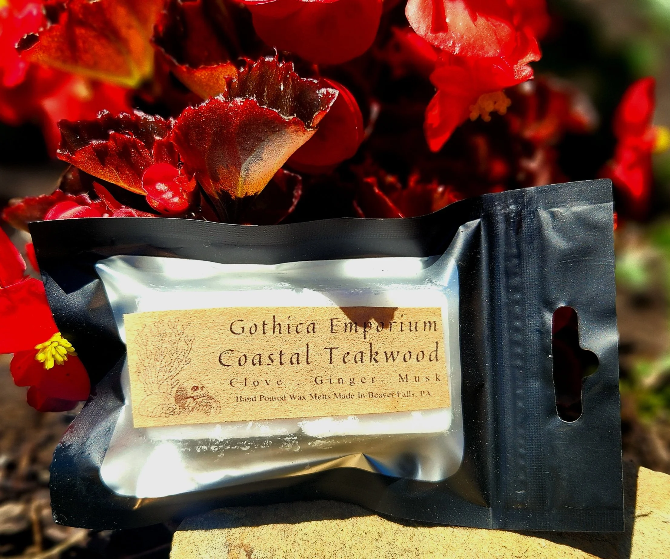 Coastal Teakwood Wax Melts