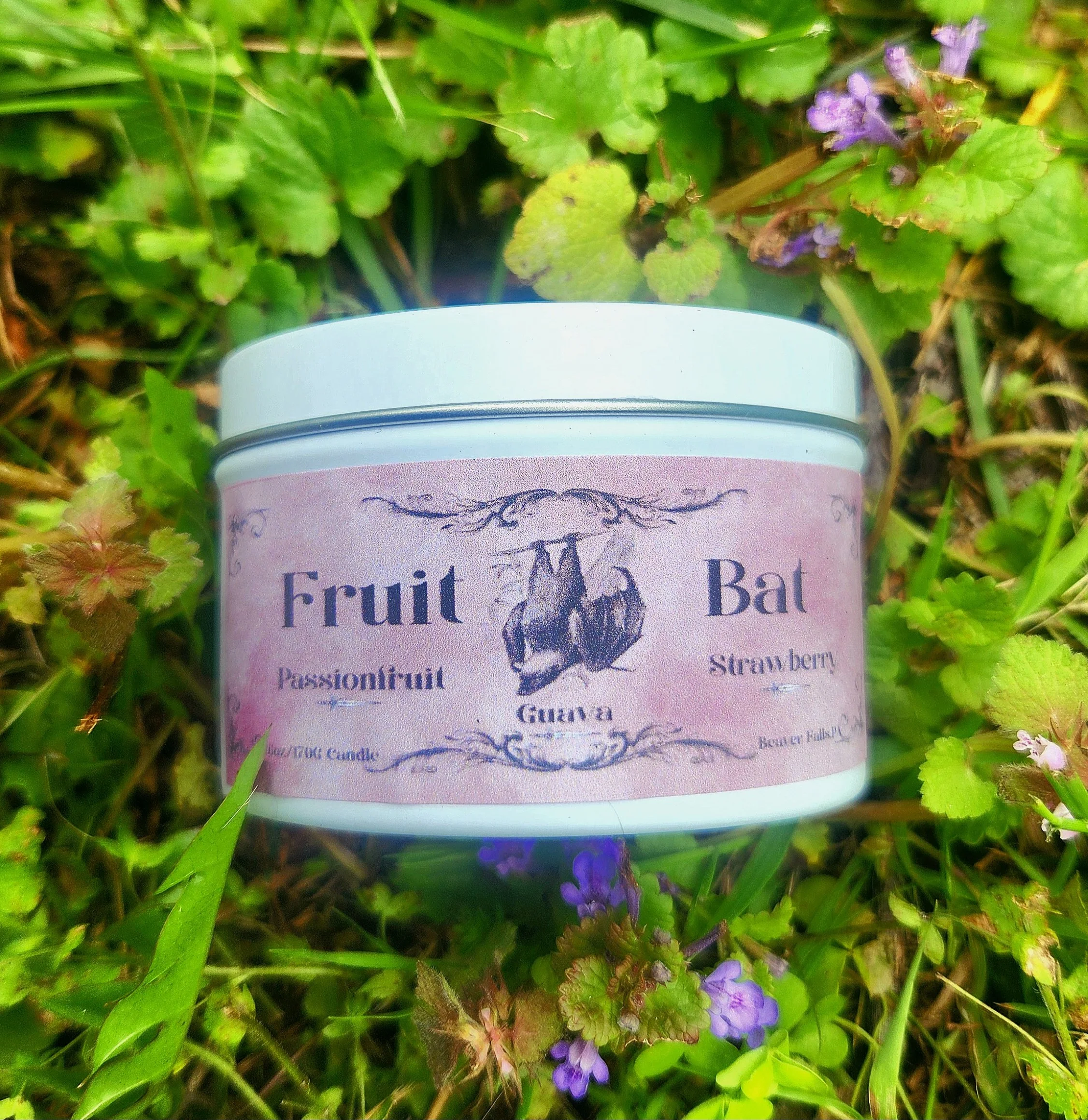 Fruit Bat
