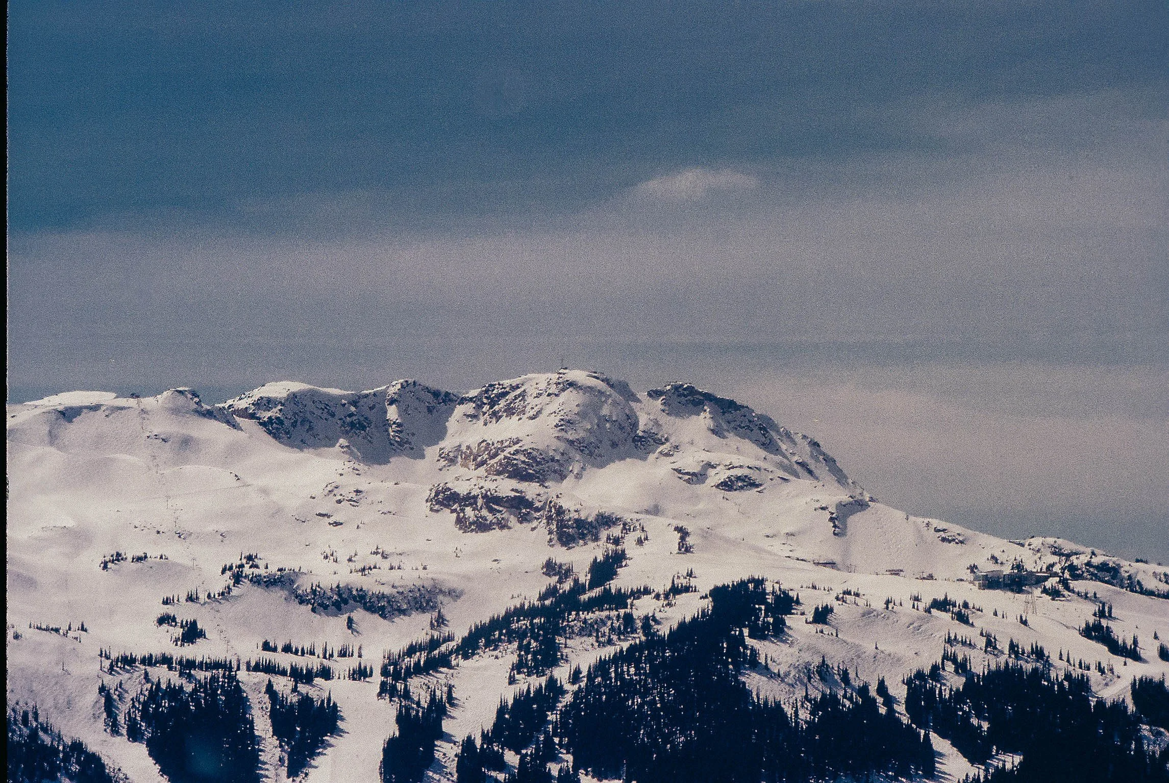 Snow-covered mountain range with pine trees on the slopes and a cloudy sky overhead.