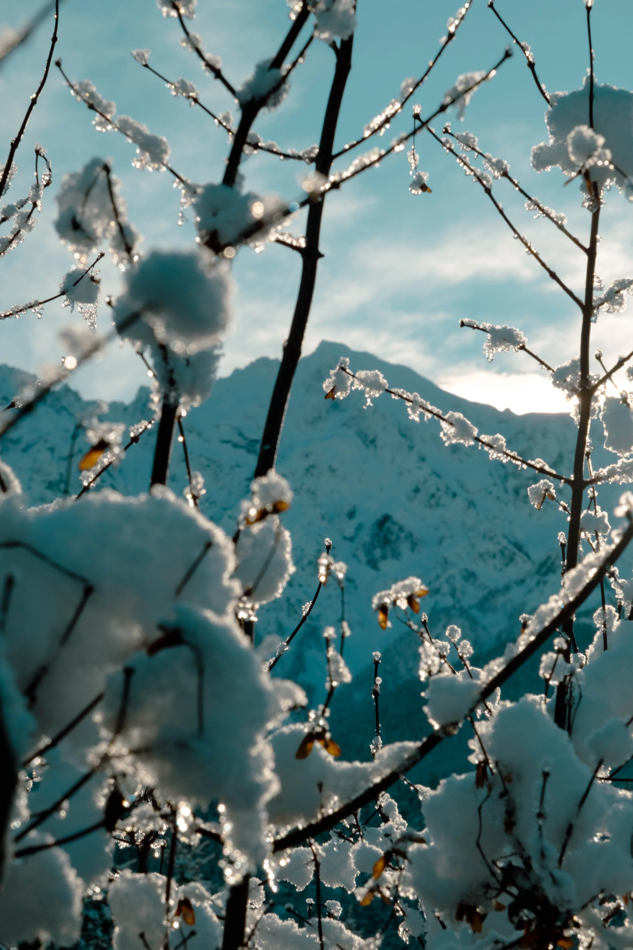 DSCF4490.jpg