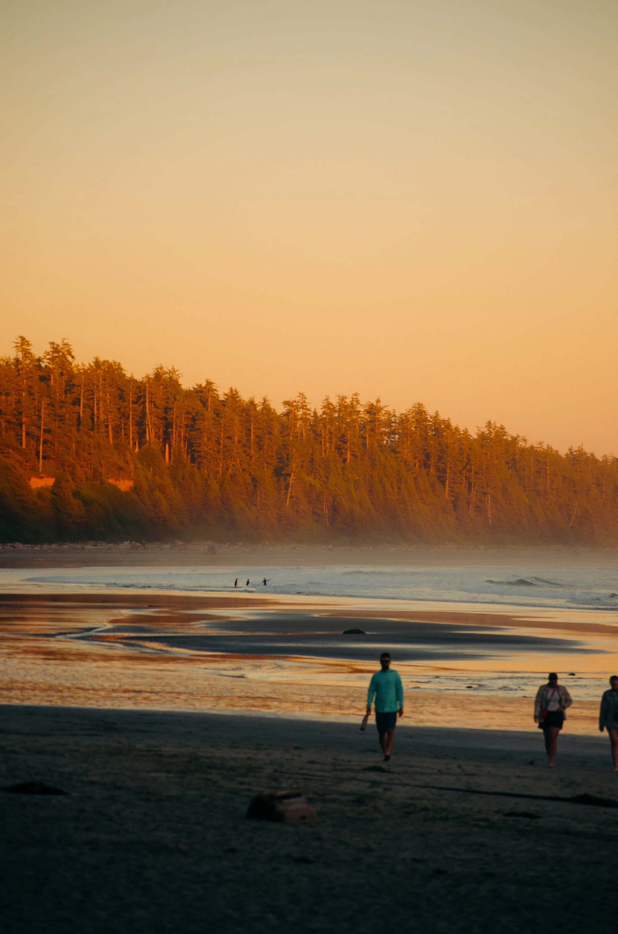 People walking on a beach during sunset with a forested hill in the background.