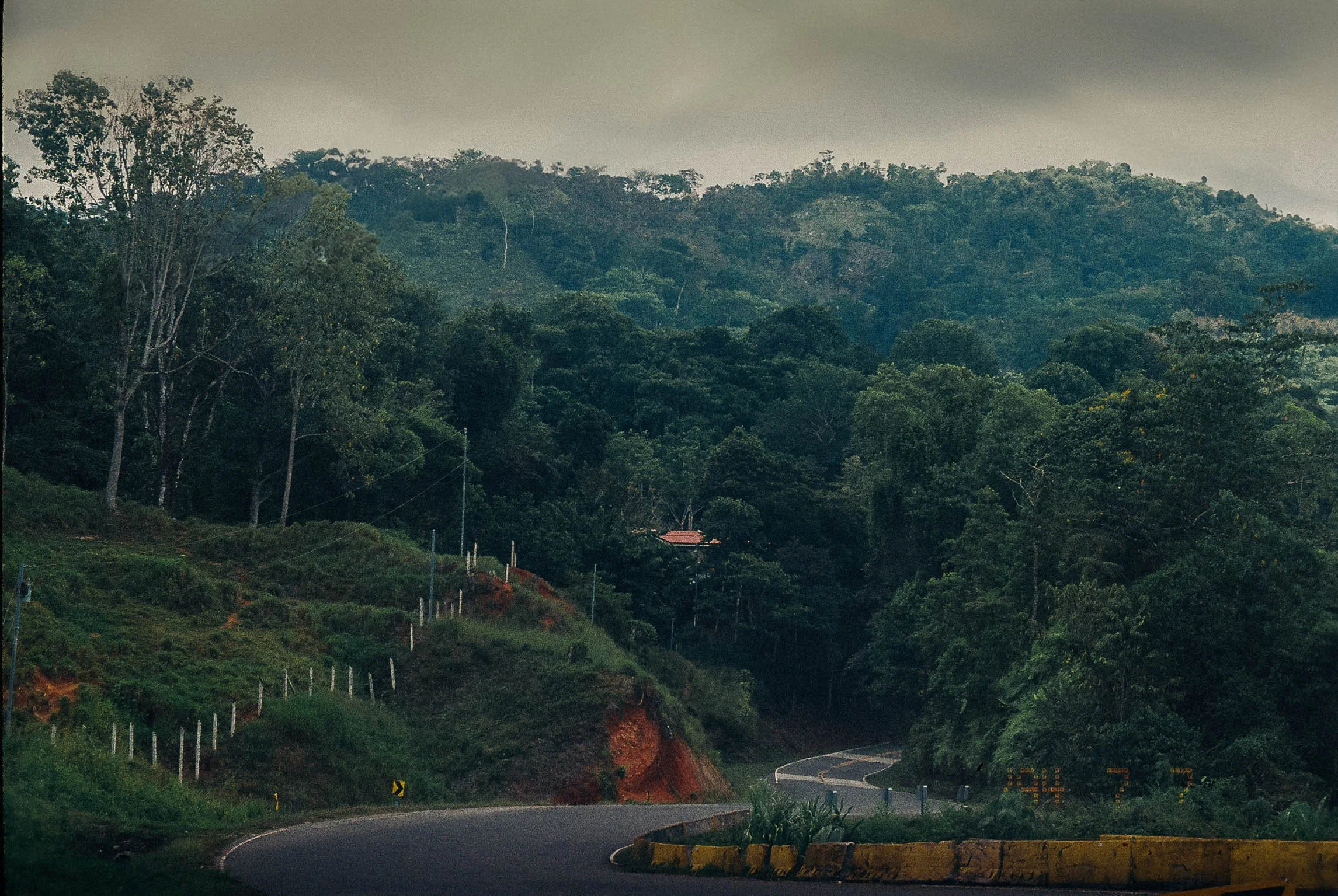 A winding mountain road surrounded by lush green trees and foggy hills in the background.