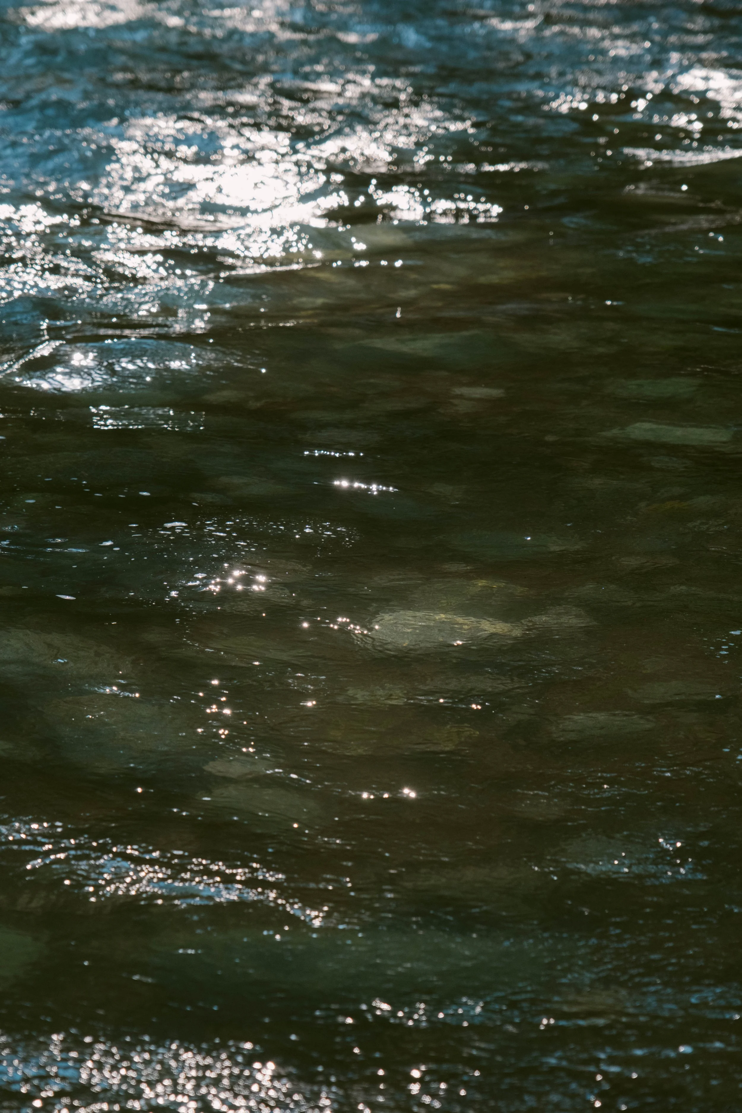 Close-up of shimmering green water with sunlight reflections.