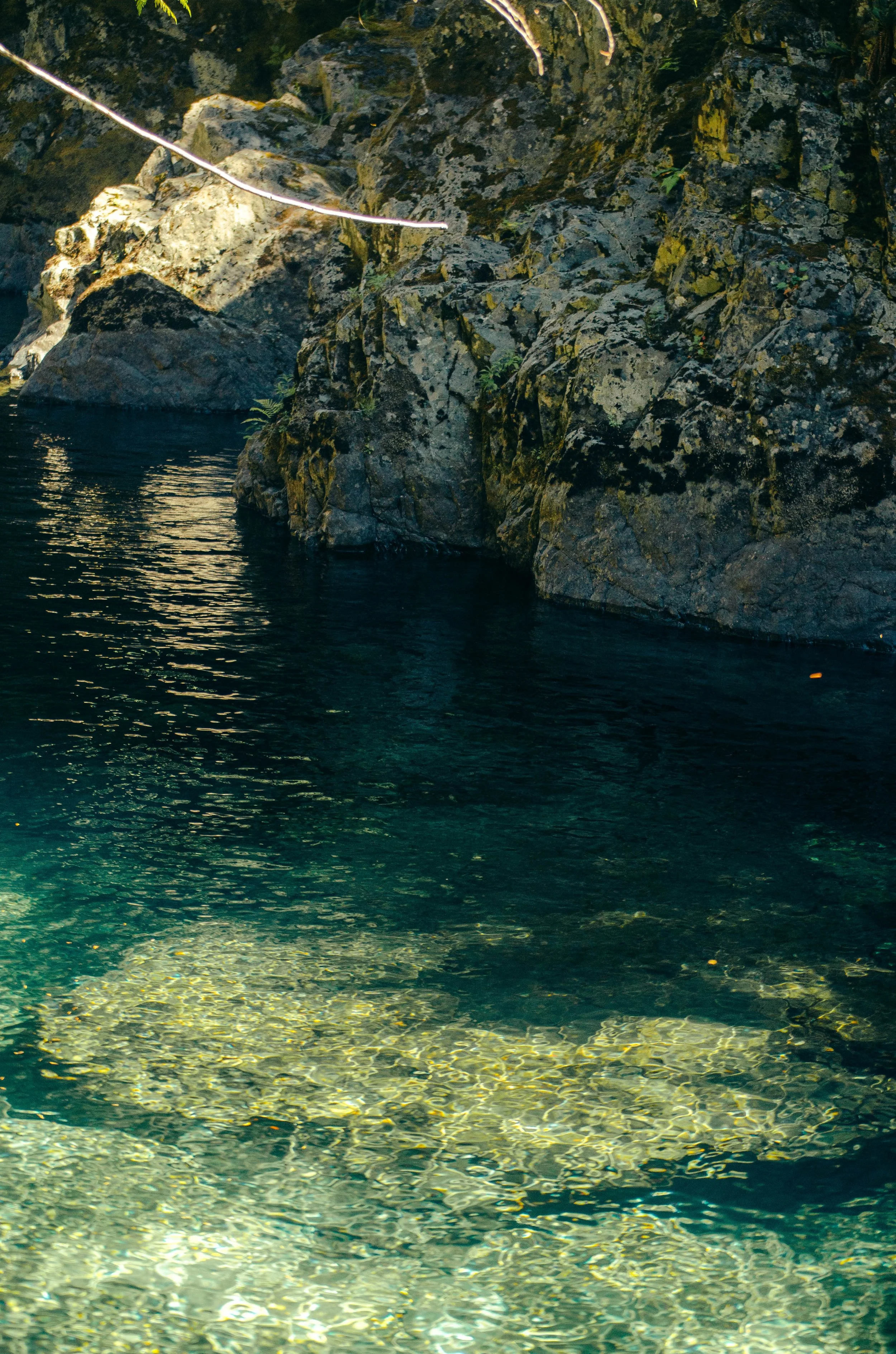 Clear water near rocky cliffs with moss and small plants growing on rocks.