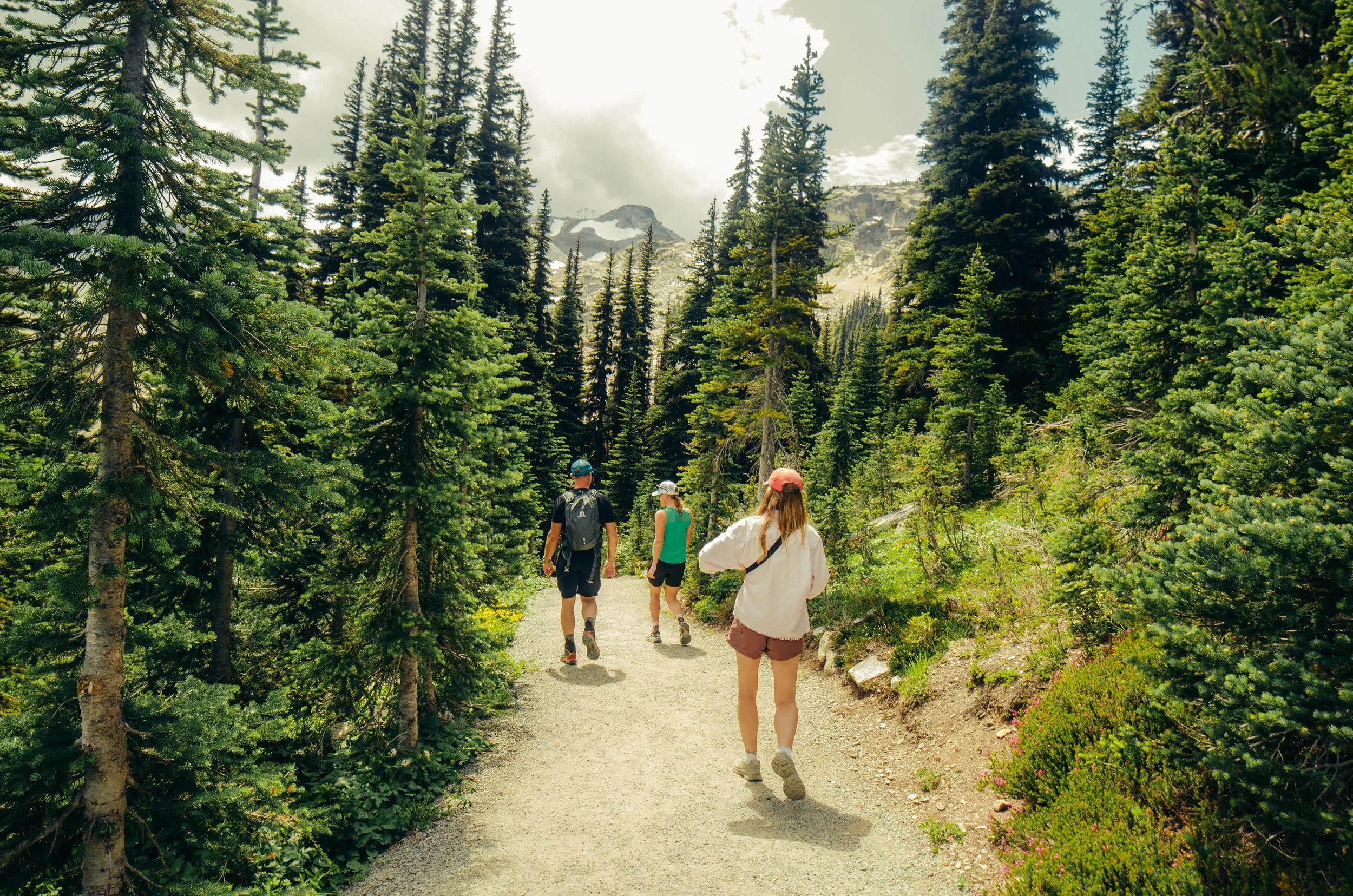 Four hikers walking on a trail through a dense forest with tall pine trees and a mountain in the background.