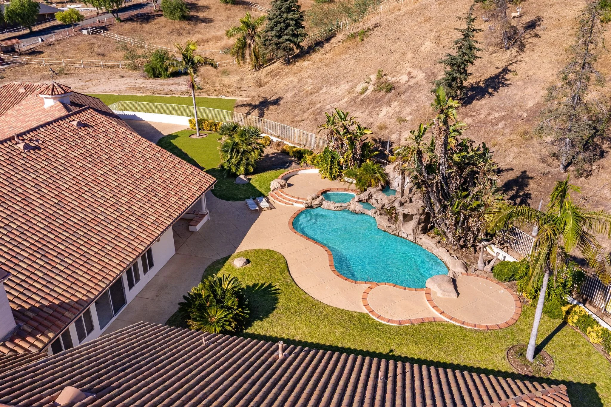 Backyard drone shot.jpeg