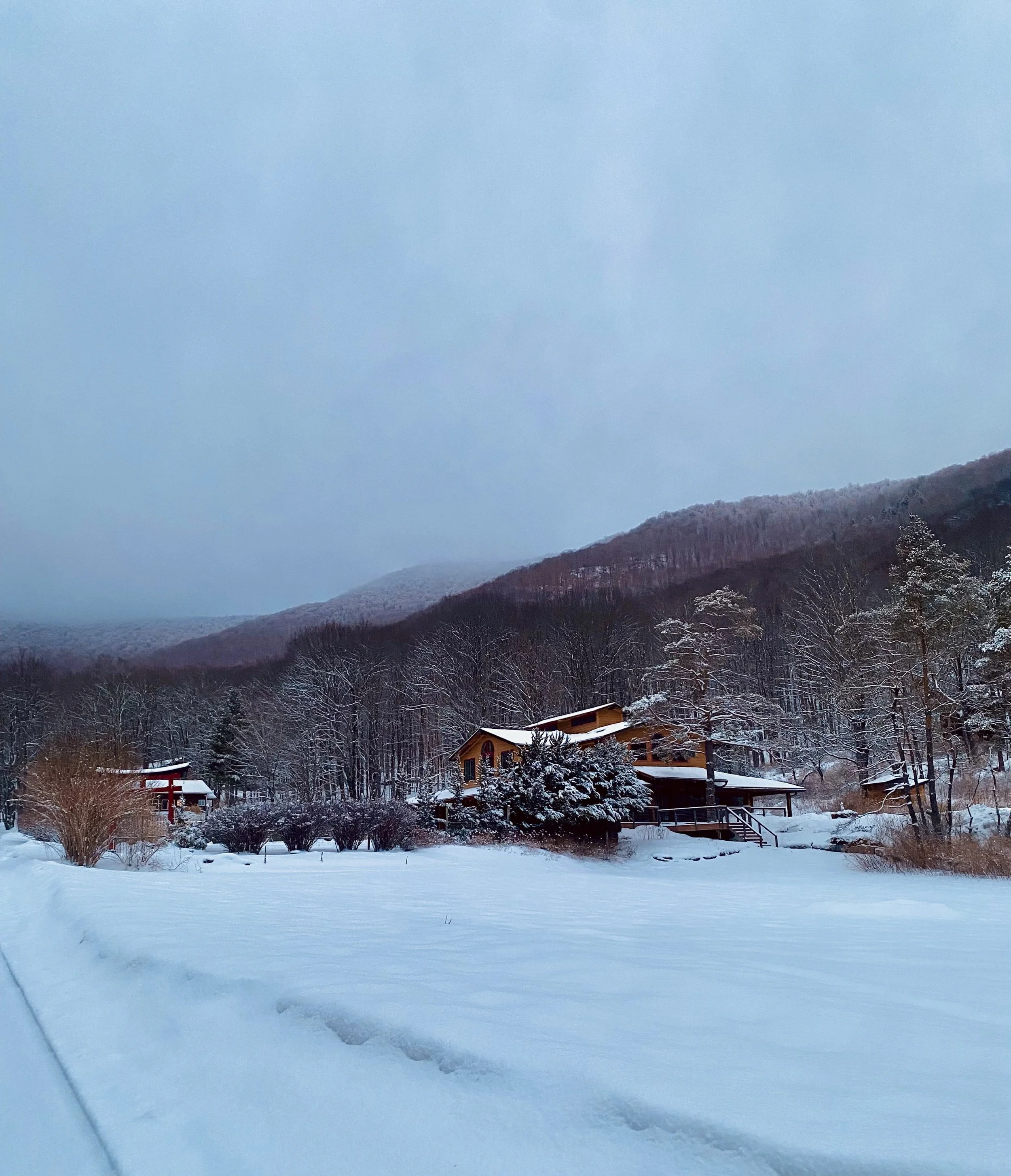 Pulling at the Threads: Midlife Healing and the Nervous System