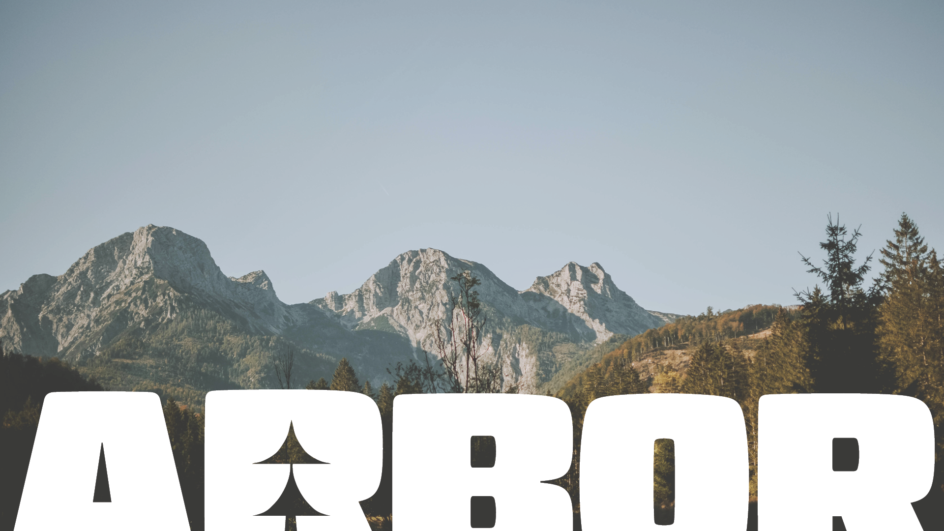ArborCollective_Deck_WEBSITEEDIT.png