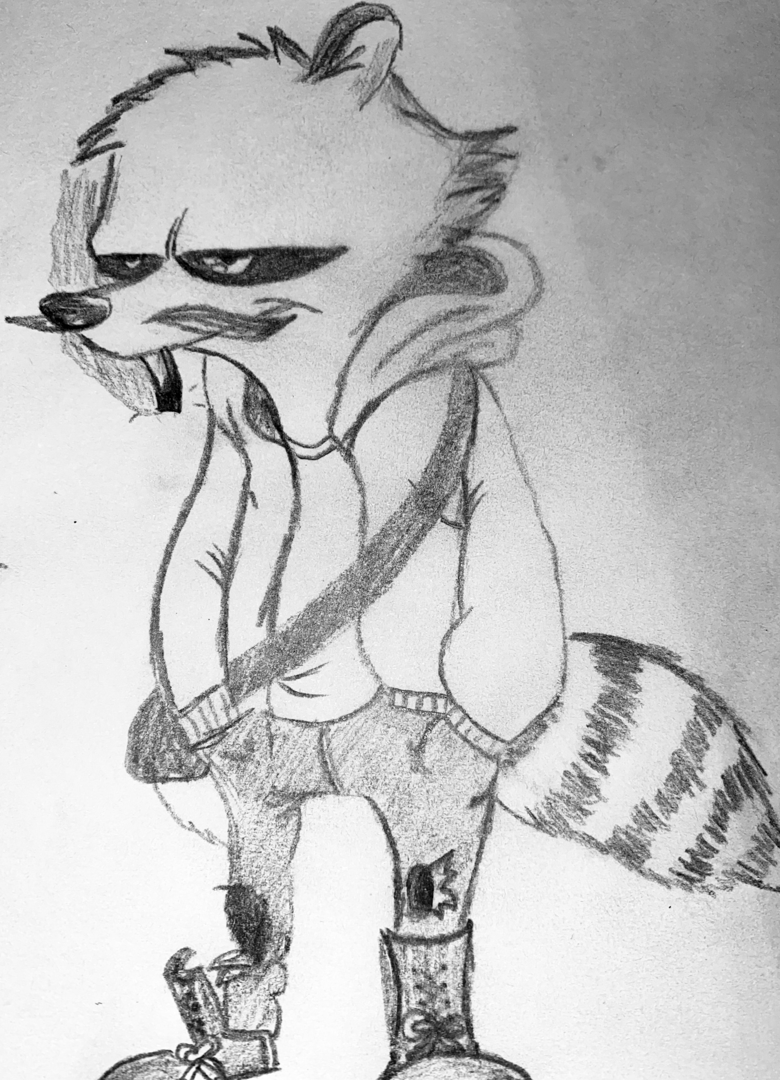 tekening vos.jpg
