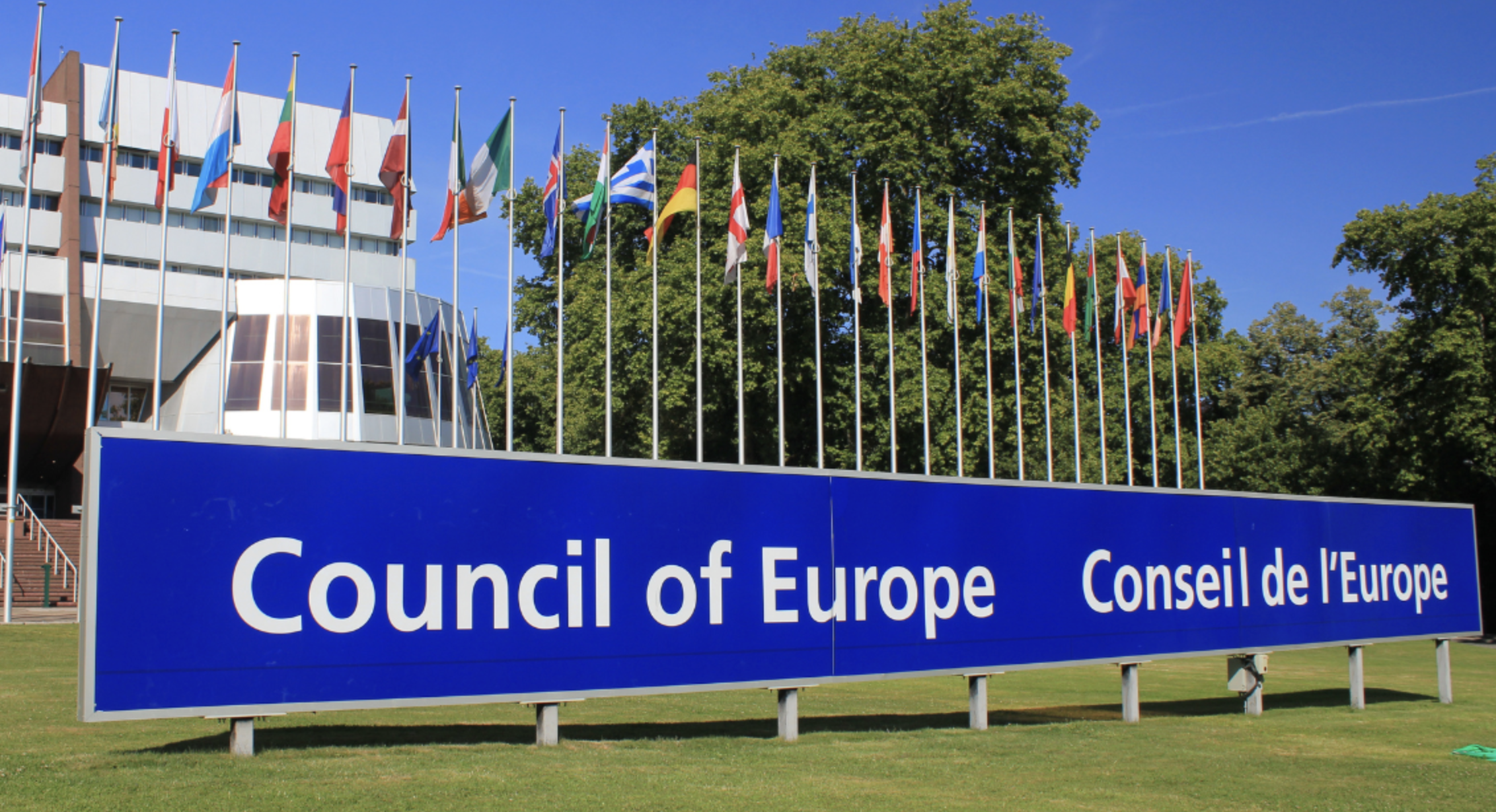 Council of Europe’s Steering Committee on the Environment (CDENV)