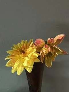 To sit with, honor, and accompany