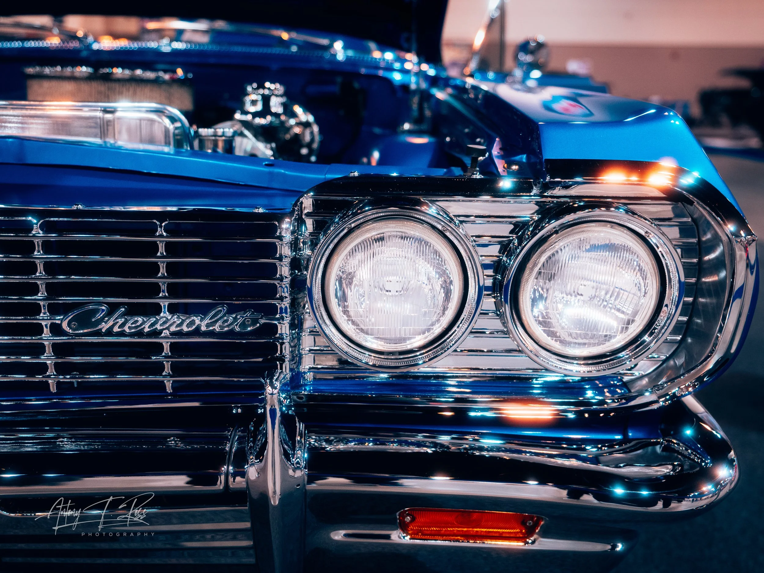 blue impala-2.jpeg