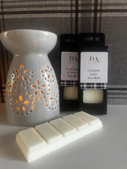 wax melts burner.jpeg