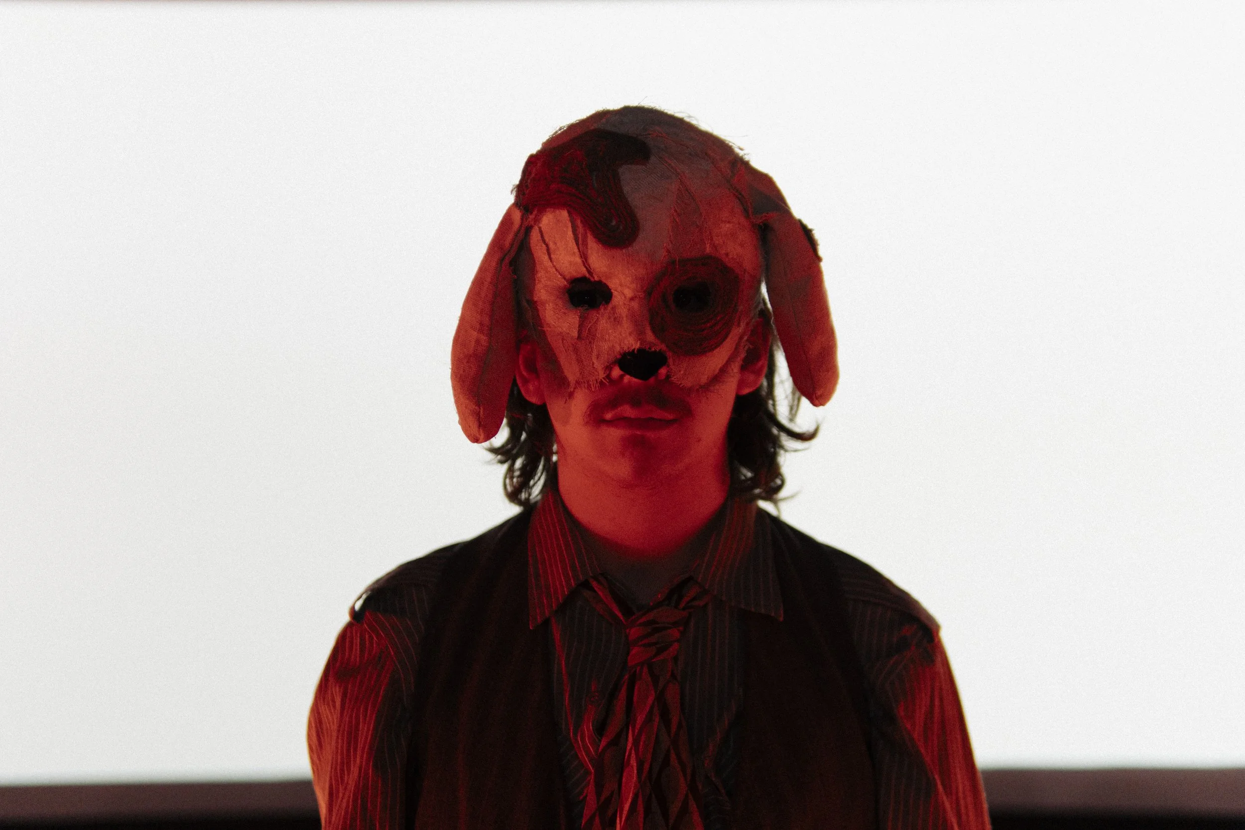 The Seagull, The Raven, The Fox, The Peacock, & The Old Dog