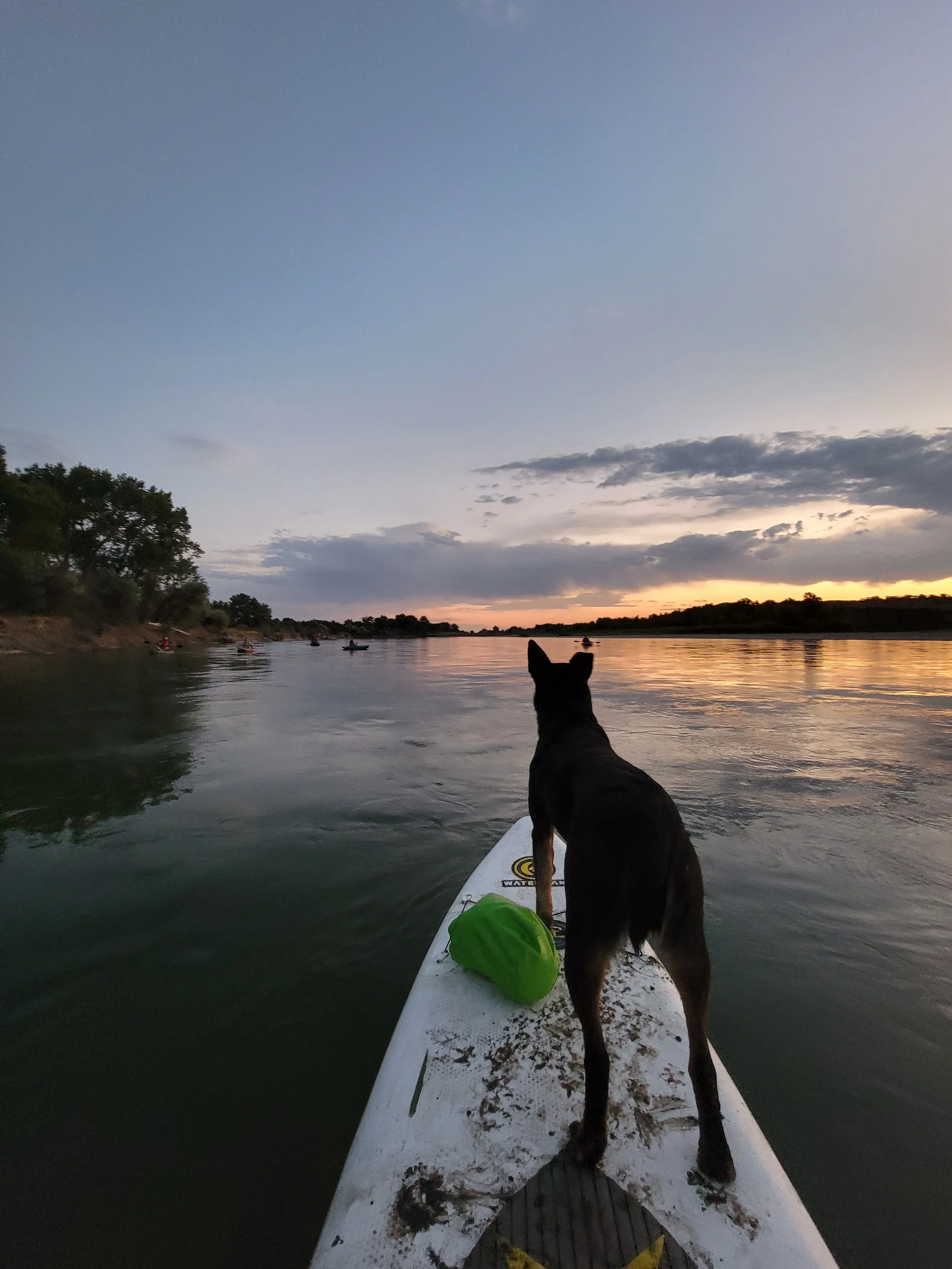 20230828_201942.jpg