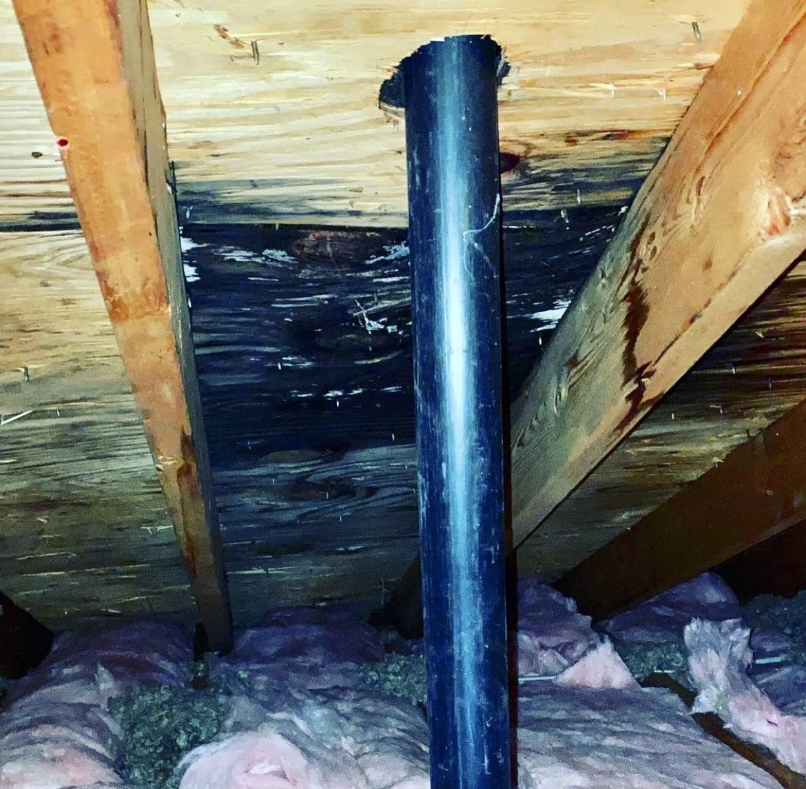 Exposed floor framing and plumbing beneath a bathroom during repair work.