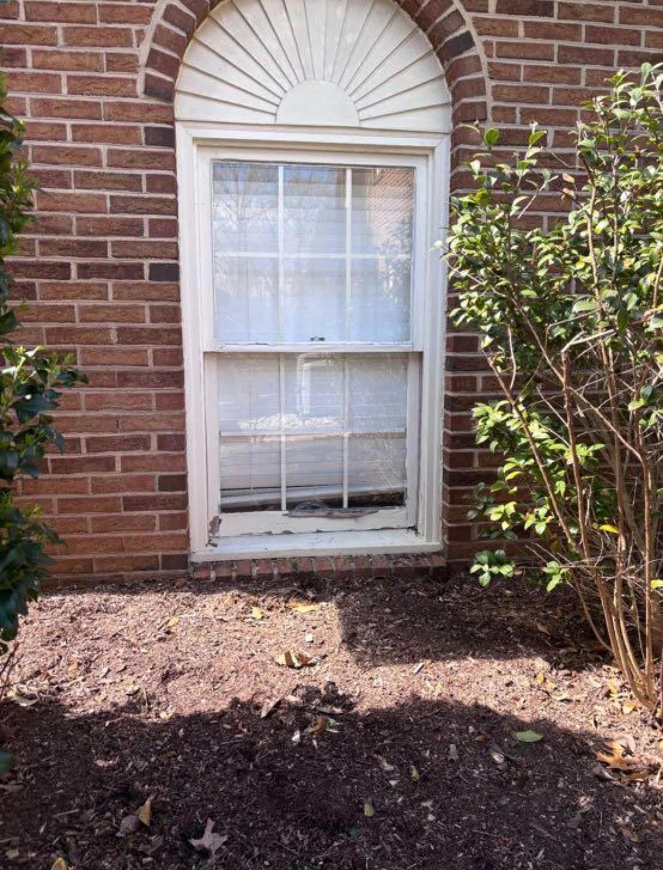 Exterior window set in a brick wall, showing the surrounding trim.
