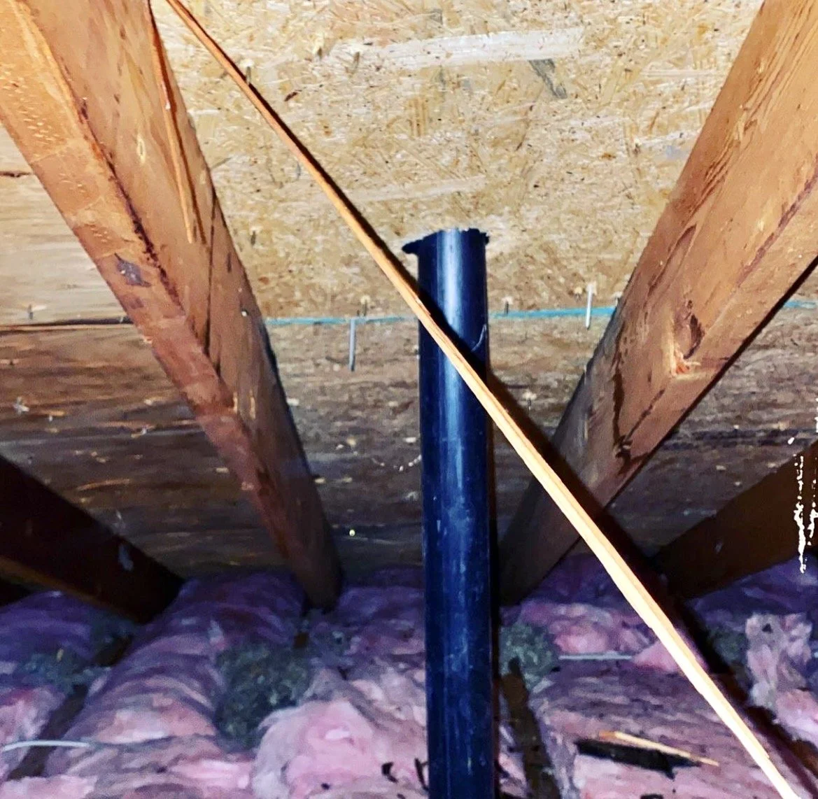 View between exposed floor joists showing plumbing and subfloor during repairs.
