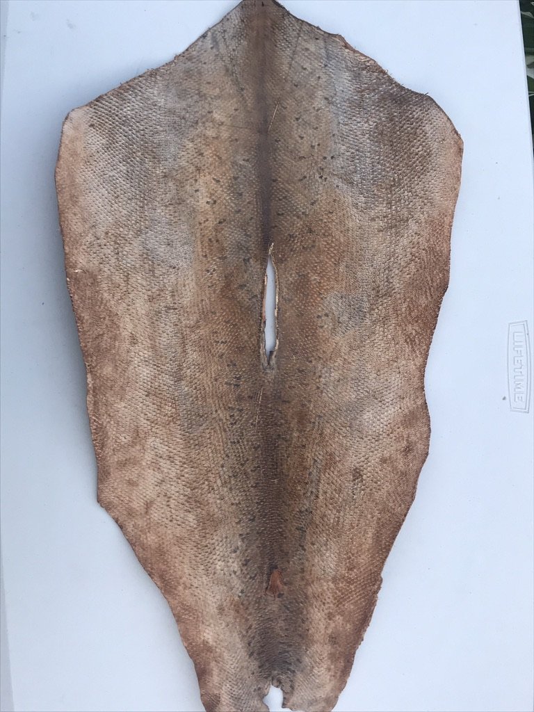 Chinook Salmon Leather Armour, Scale-on
